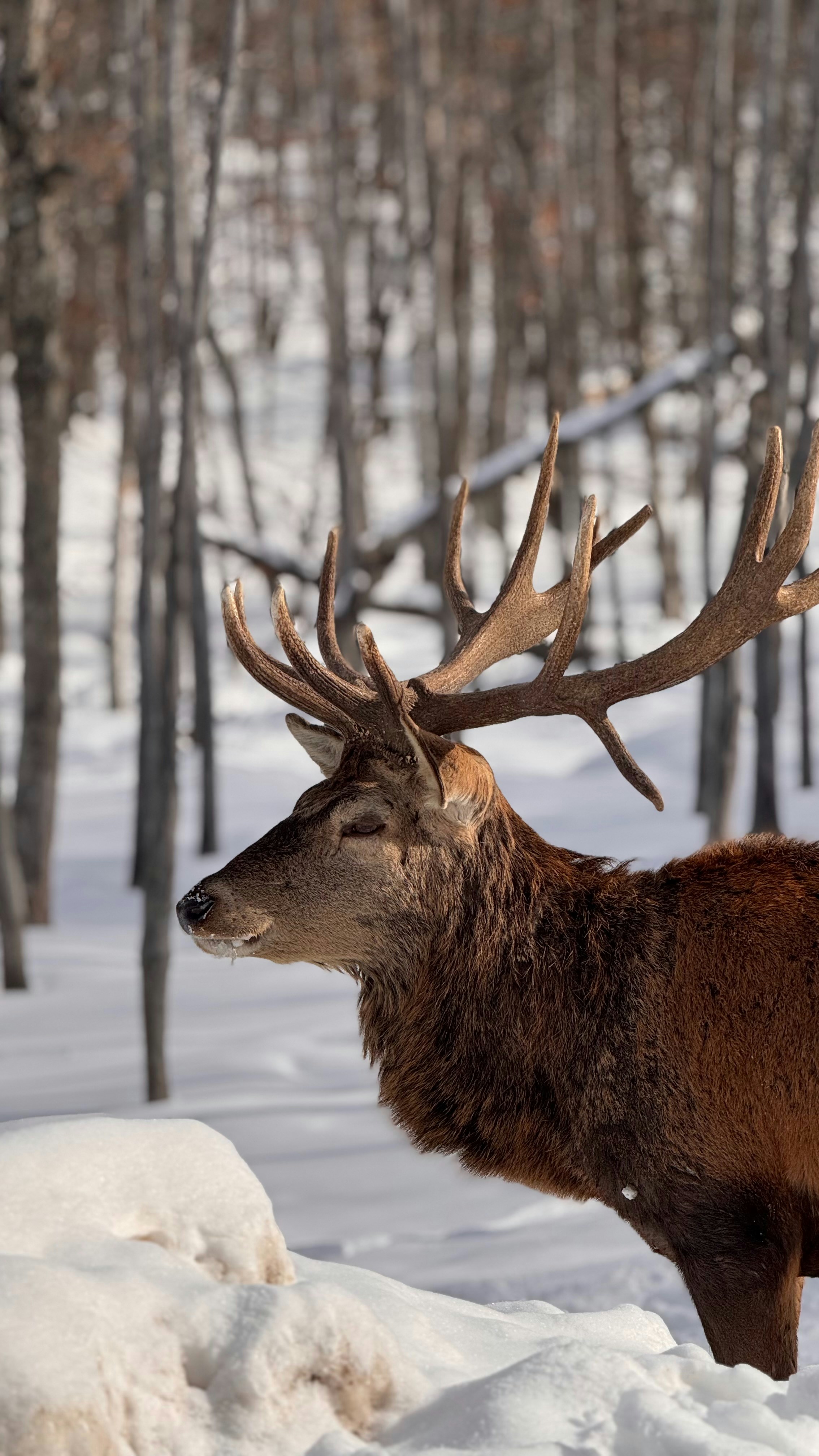 Photo by ayushashokan