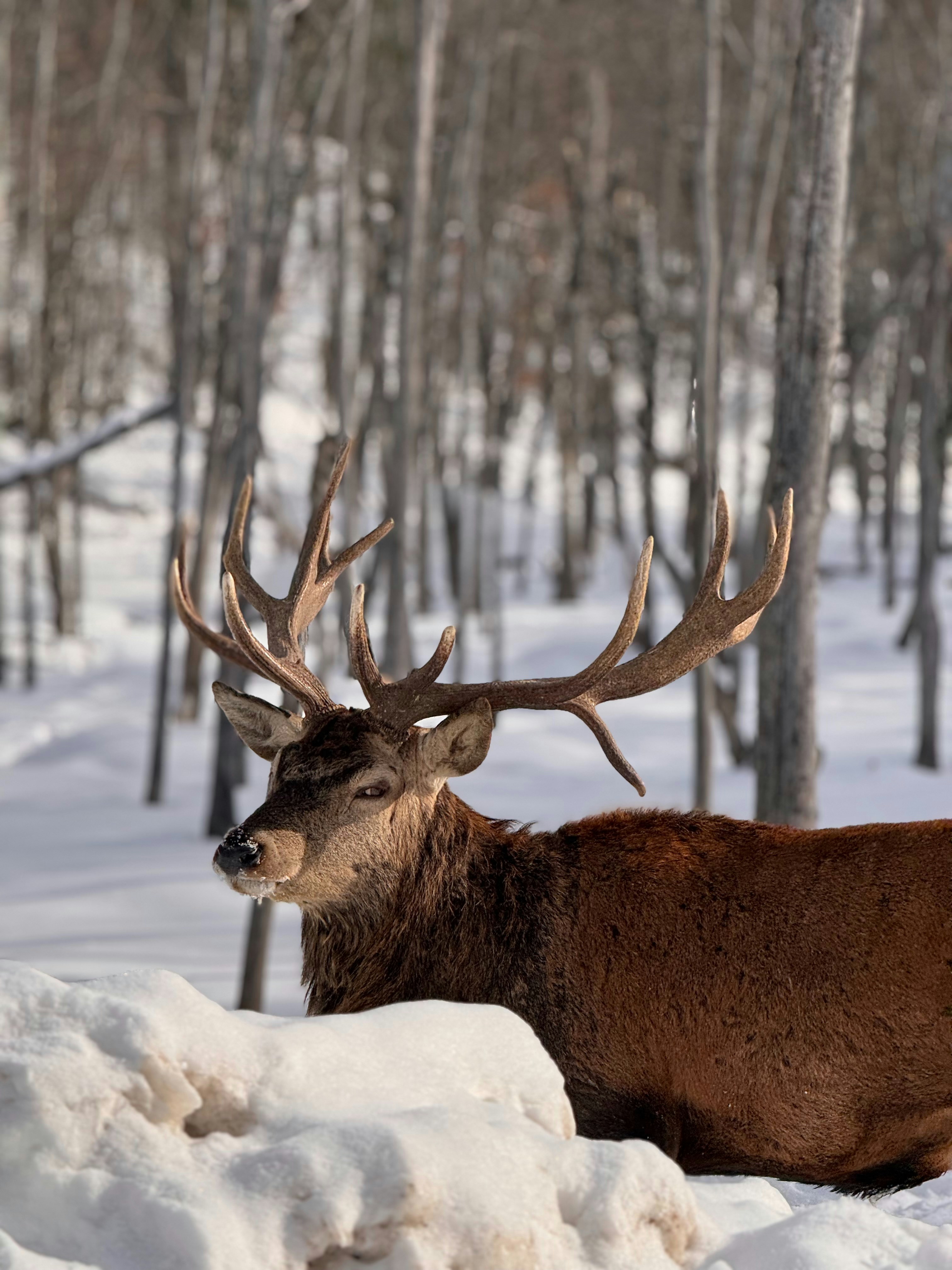 Photo by ayushashokan