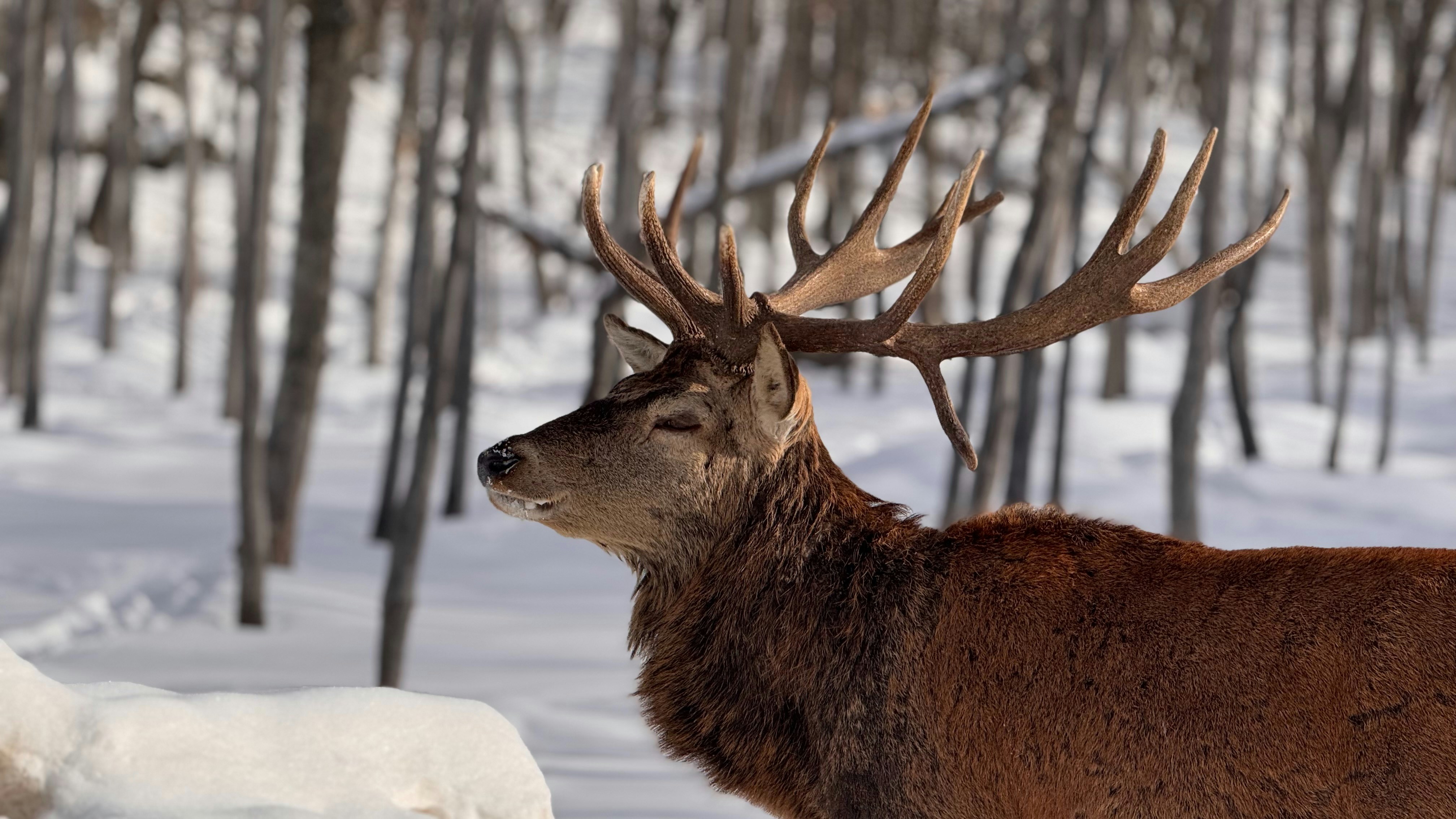 Photo by ayushashokan