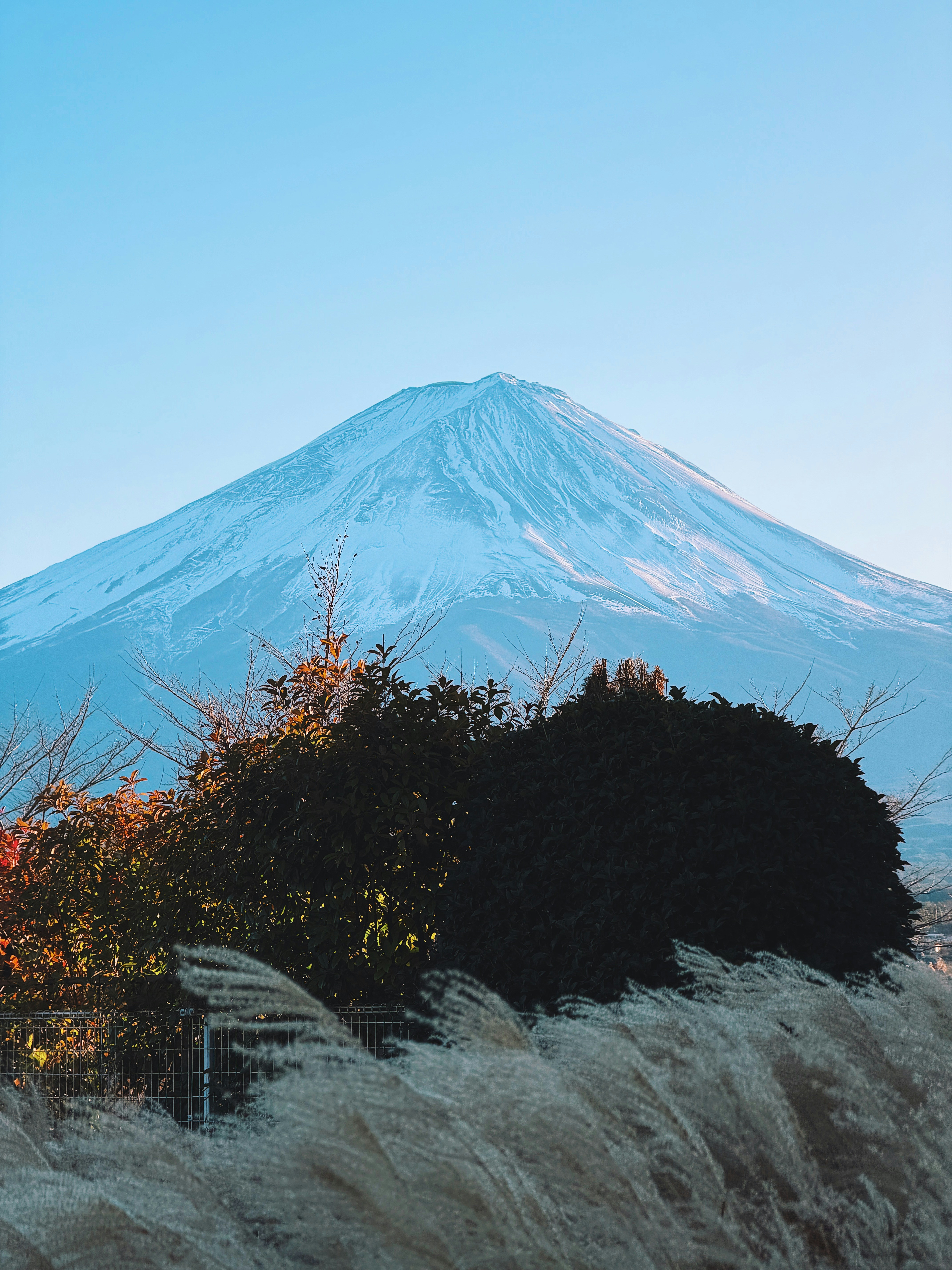 Photo by imandrewpons