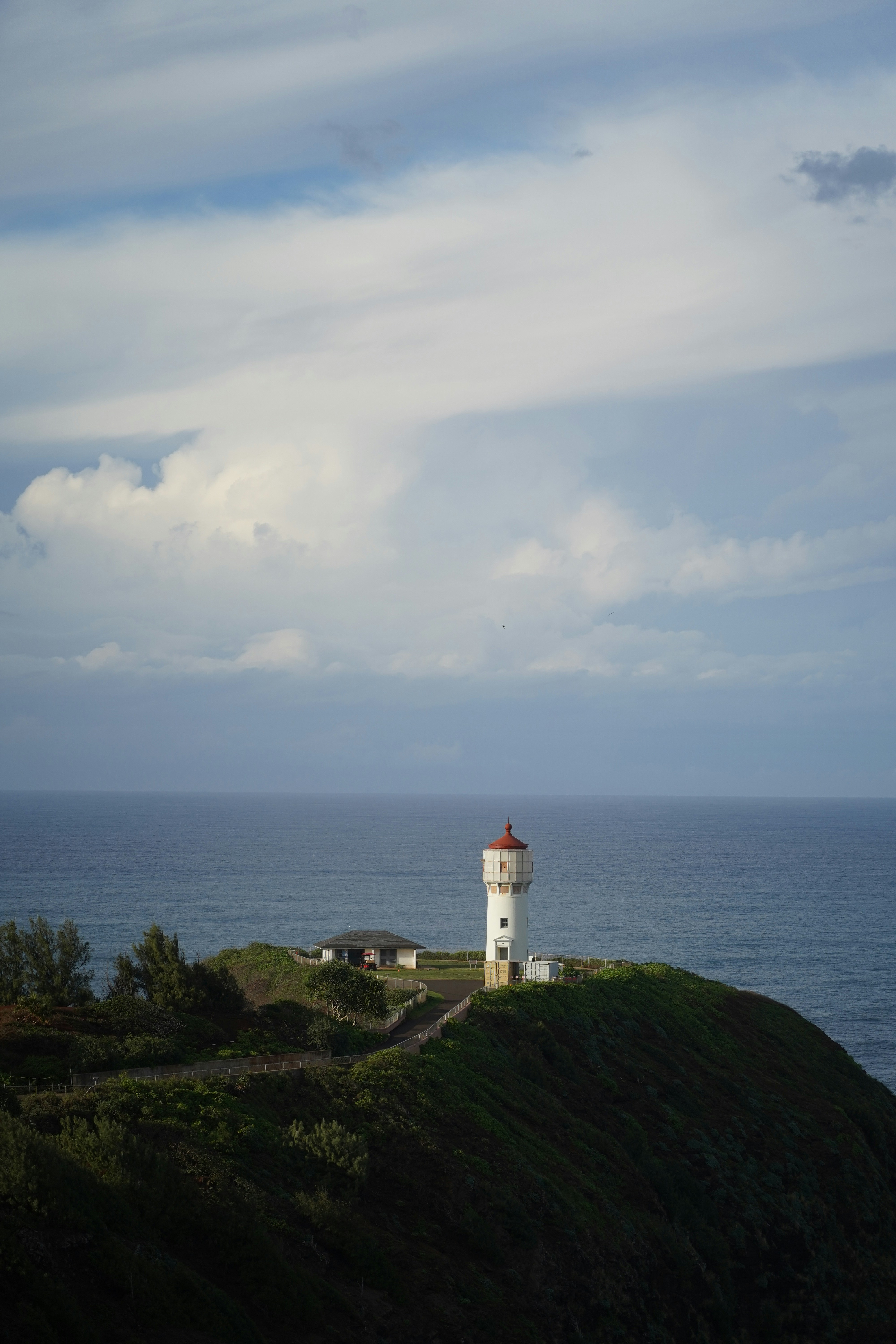 Photo by jillguineapiggy