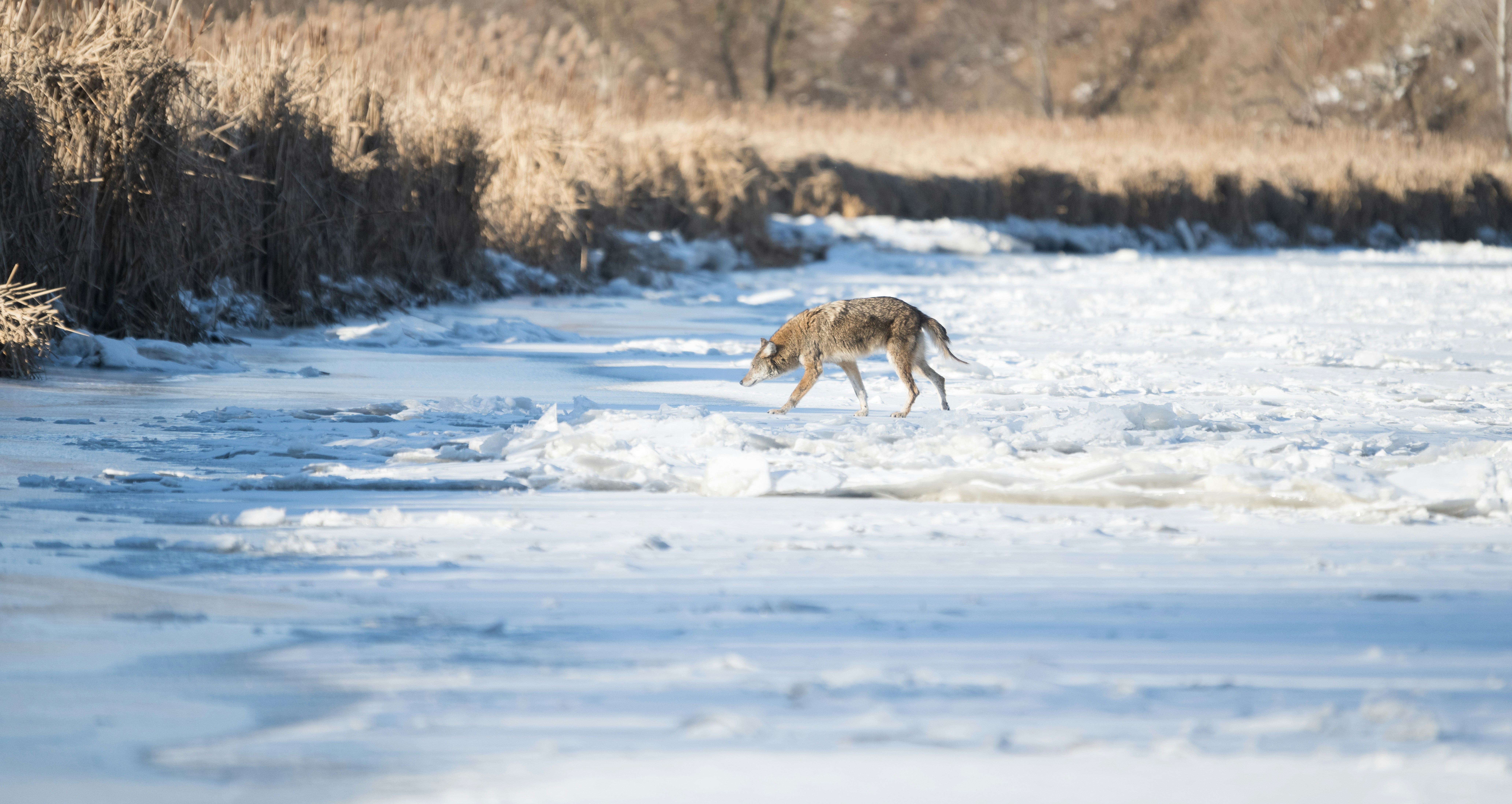 Photo by justynazielinska654