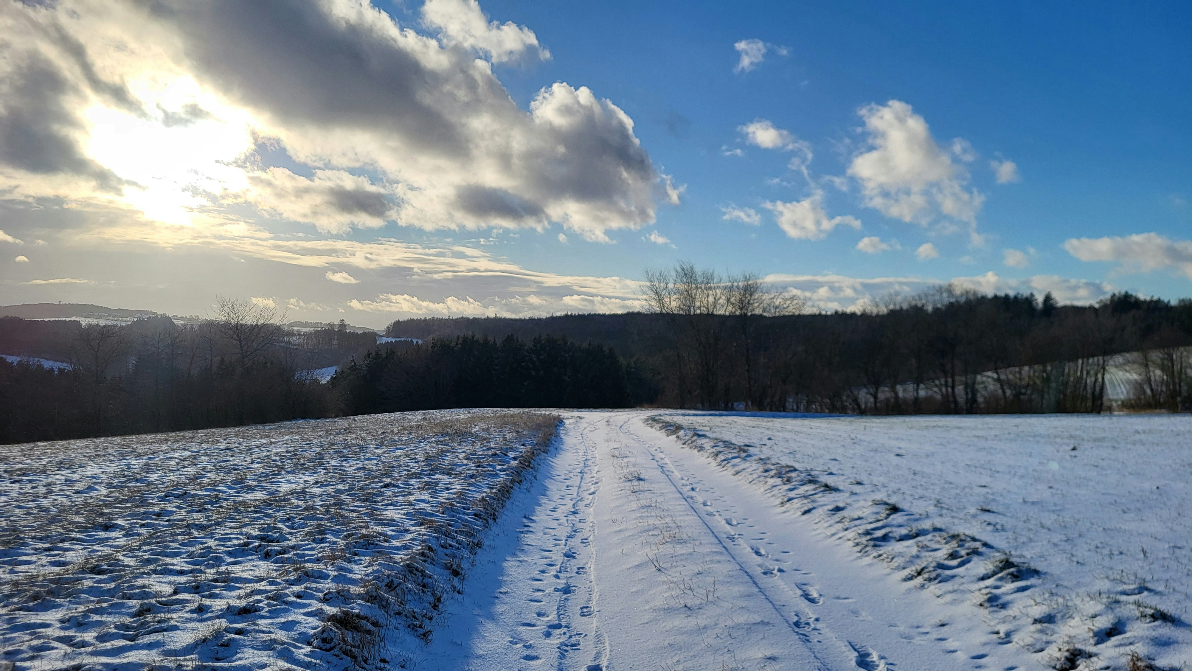 Photo by margitsunnysideup