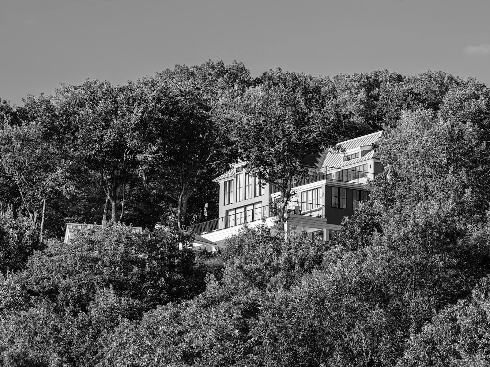 Modern house among dense trees on a hillside