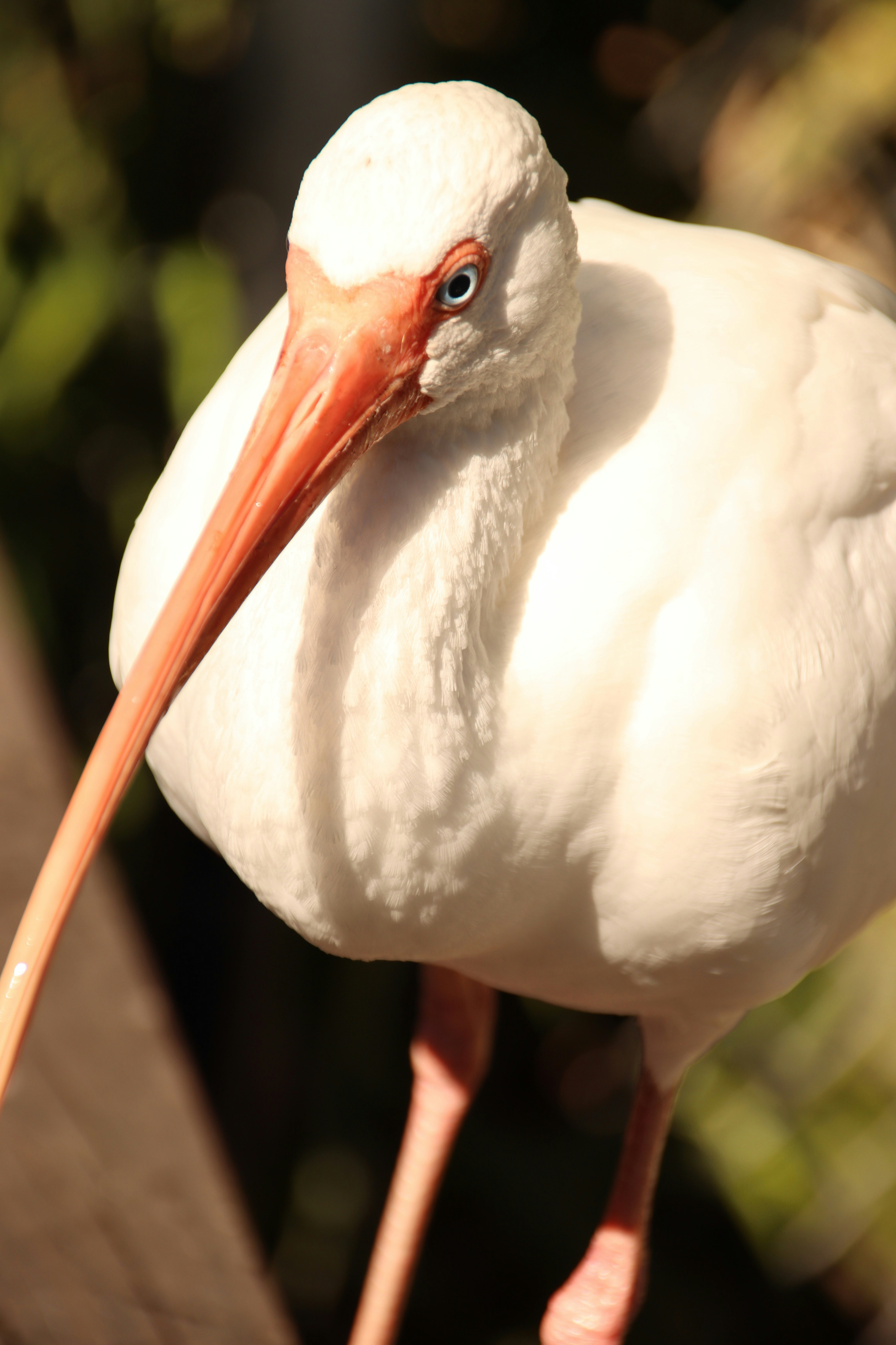 Photo by akshatjisme