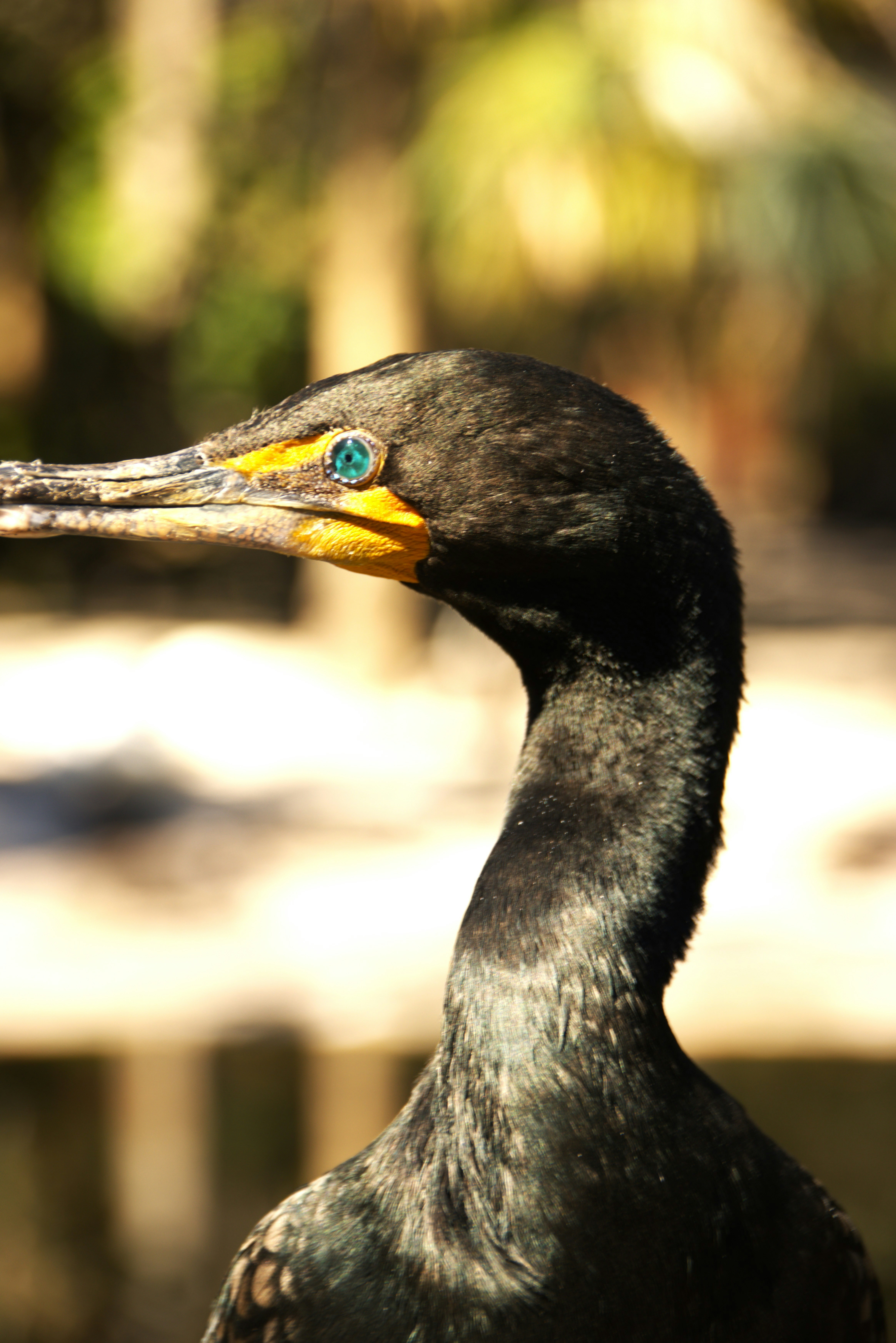 Photo by akshatjisme