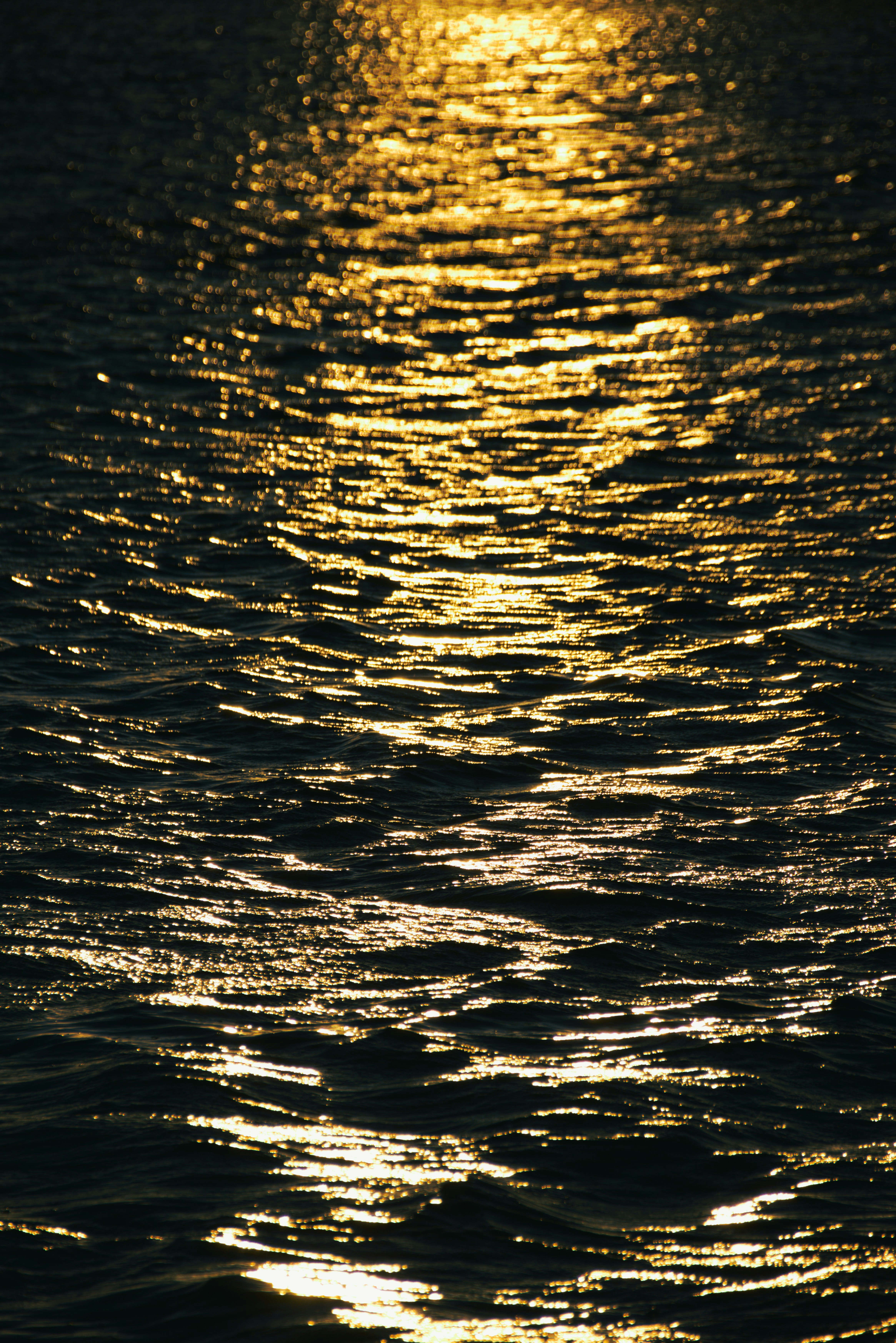 Photo by akshatjisme