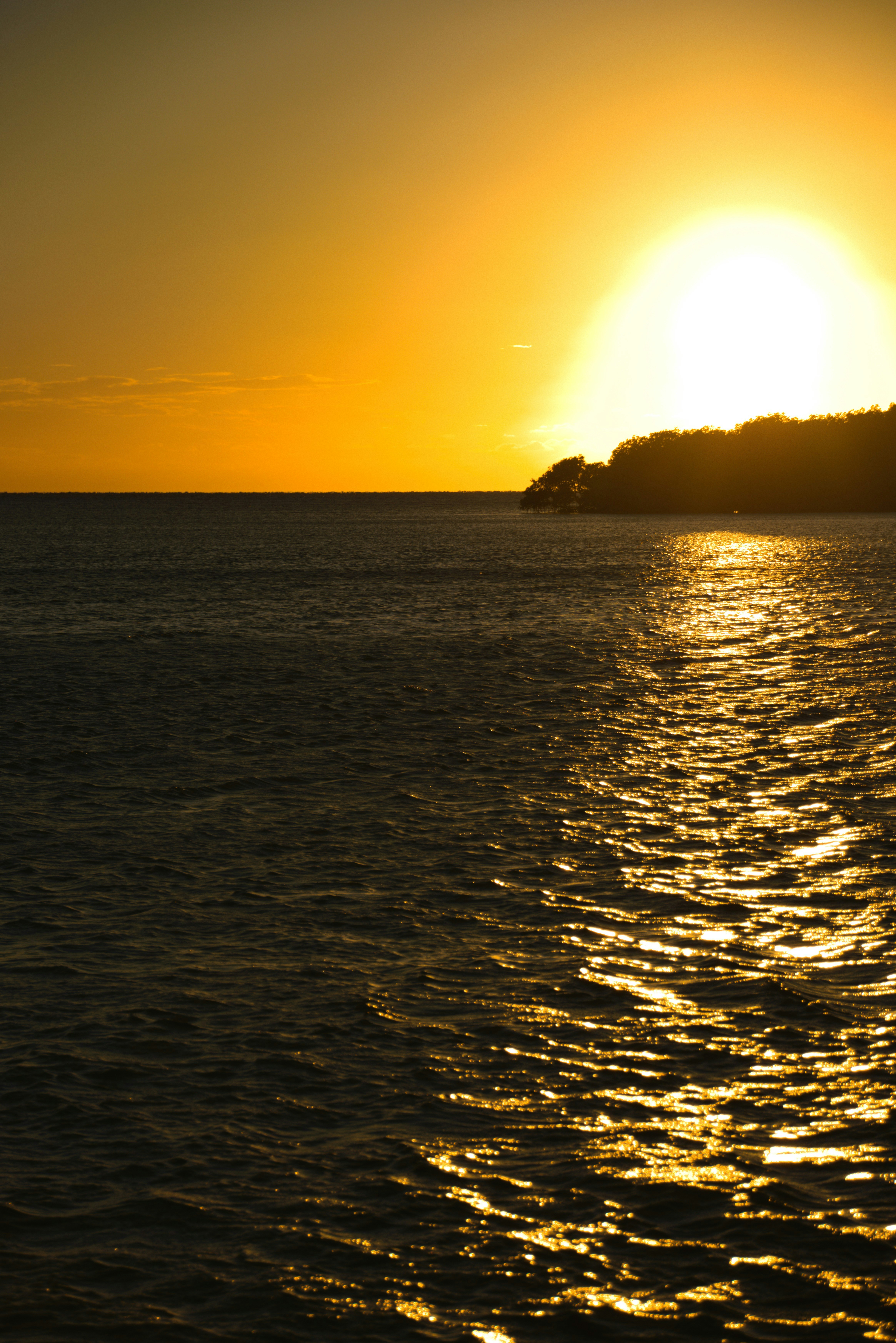 Photo by akshatjisme