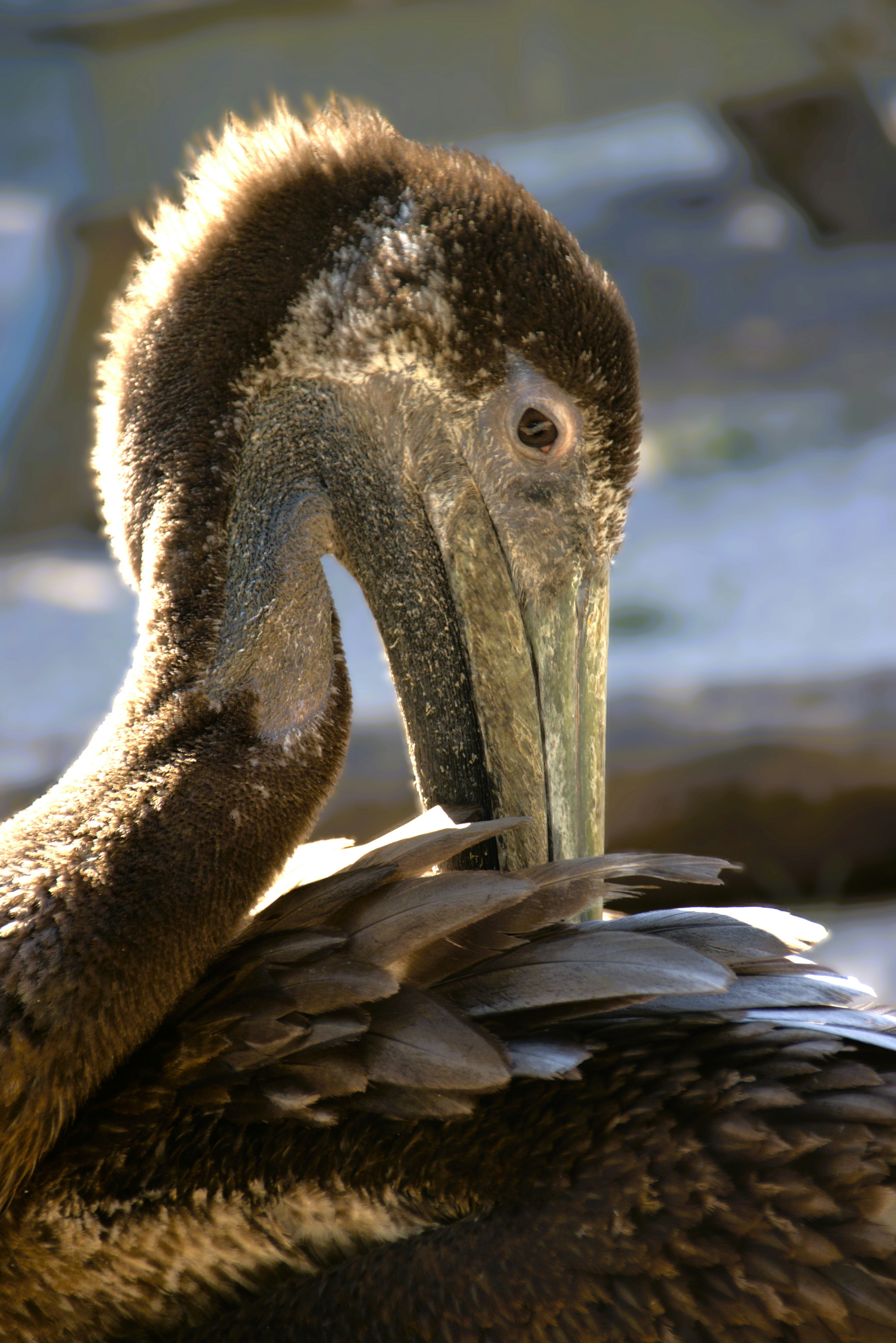 Photo by akshatjisme