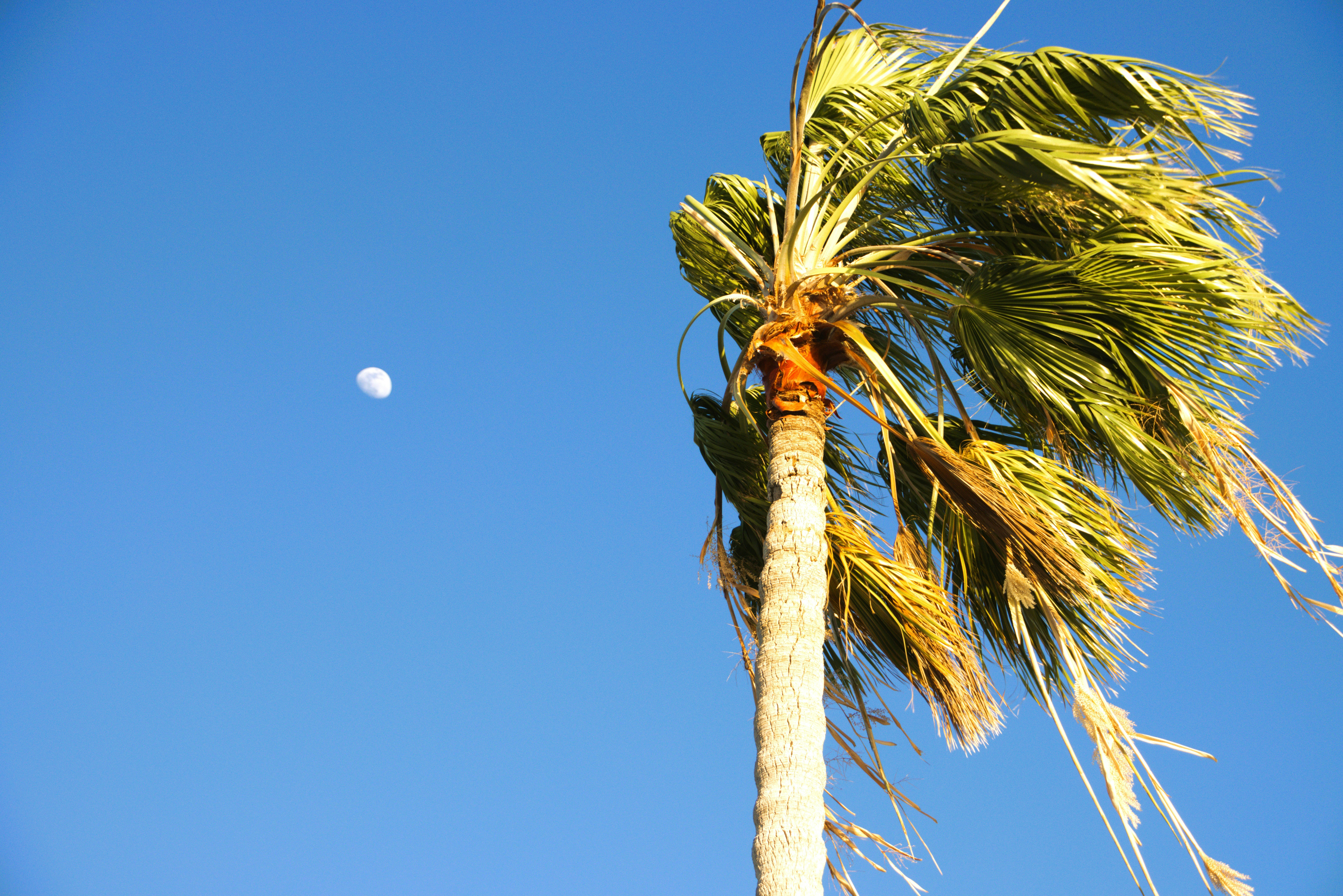 Photo by akshatjisme