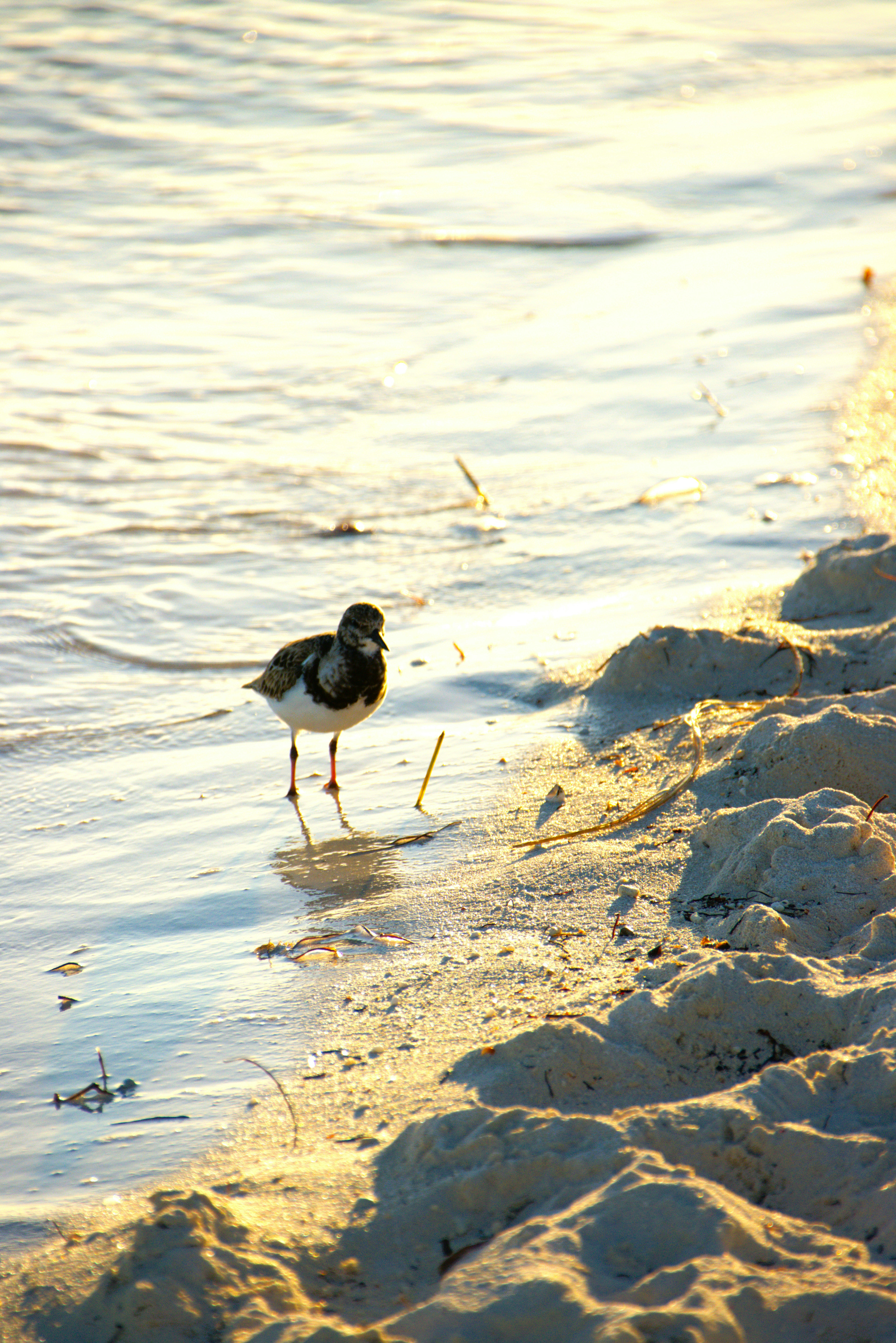 Photo by akshatjisme