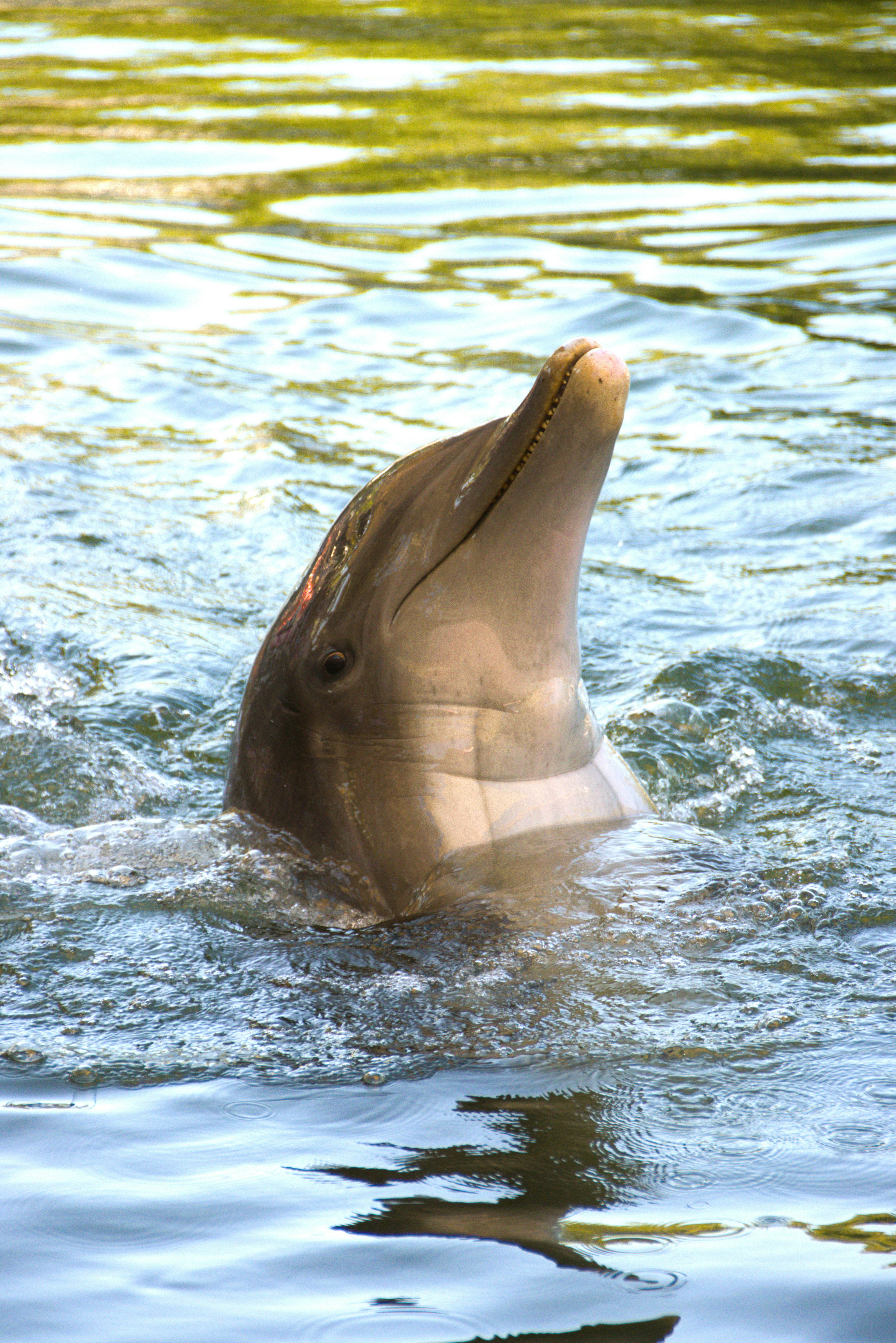 Photo by akshatjisme