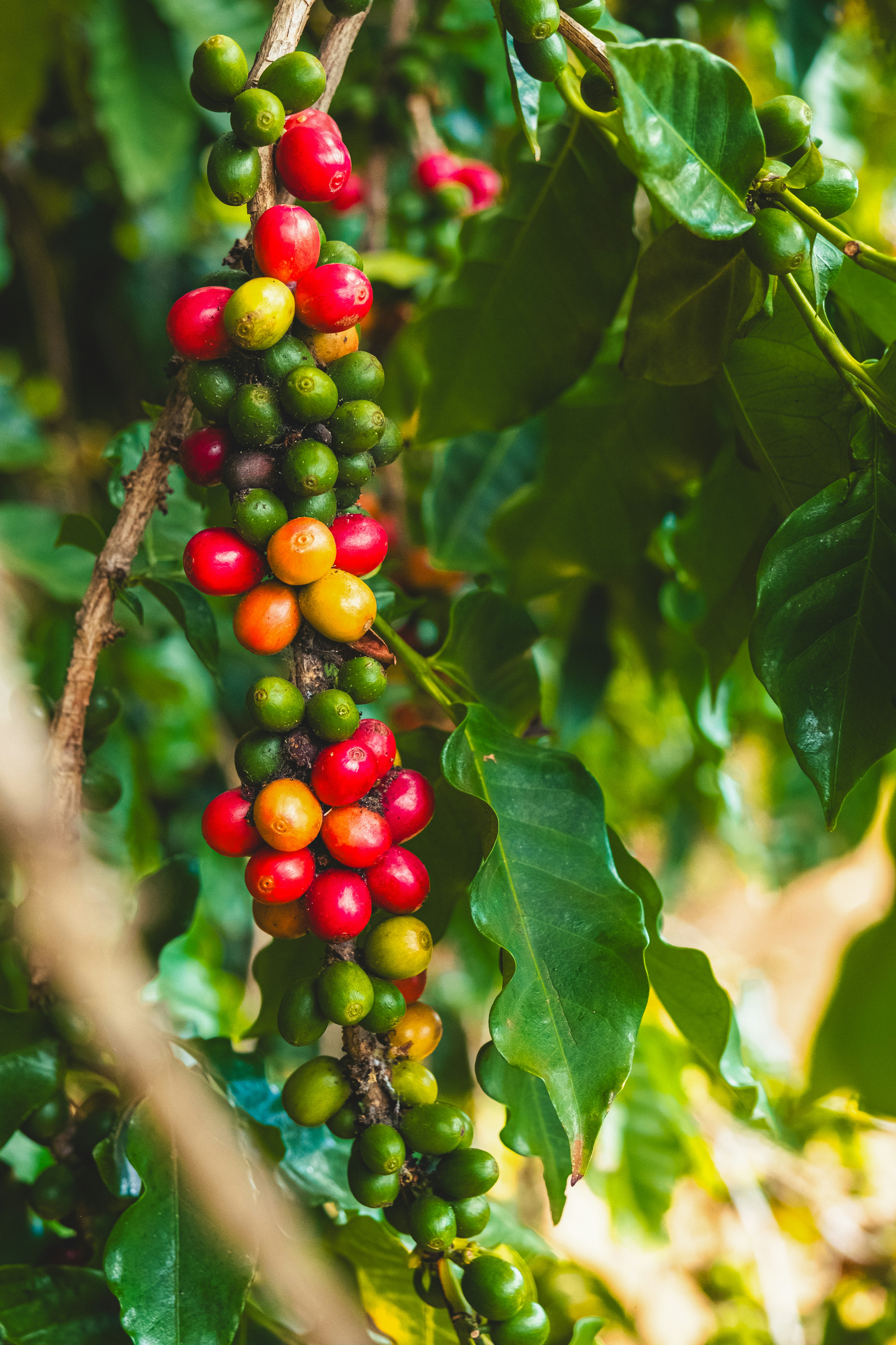 Photo by eli_hirtzel