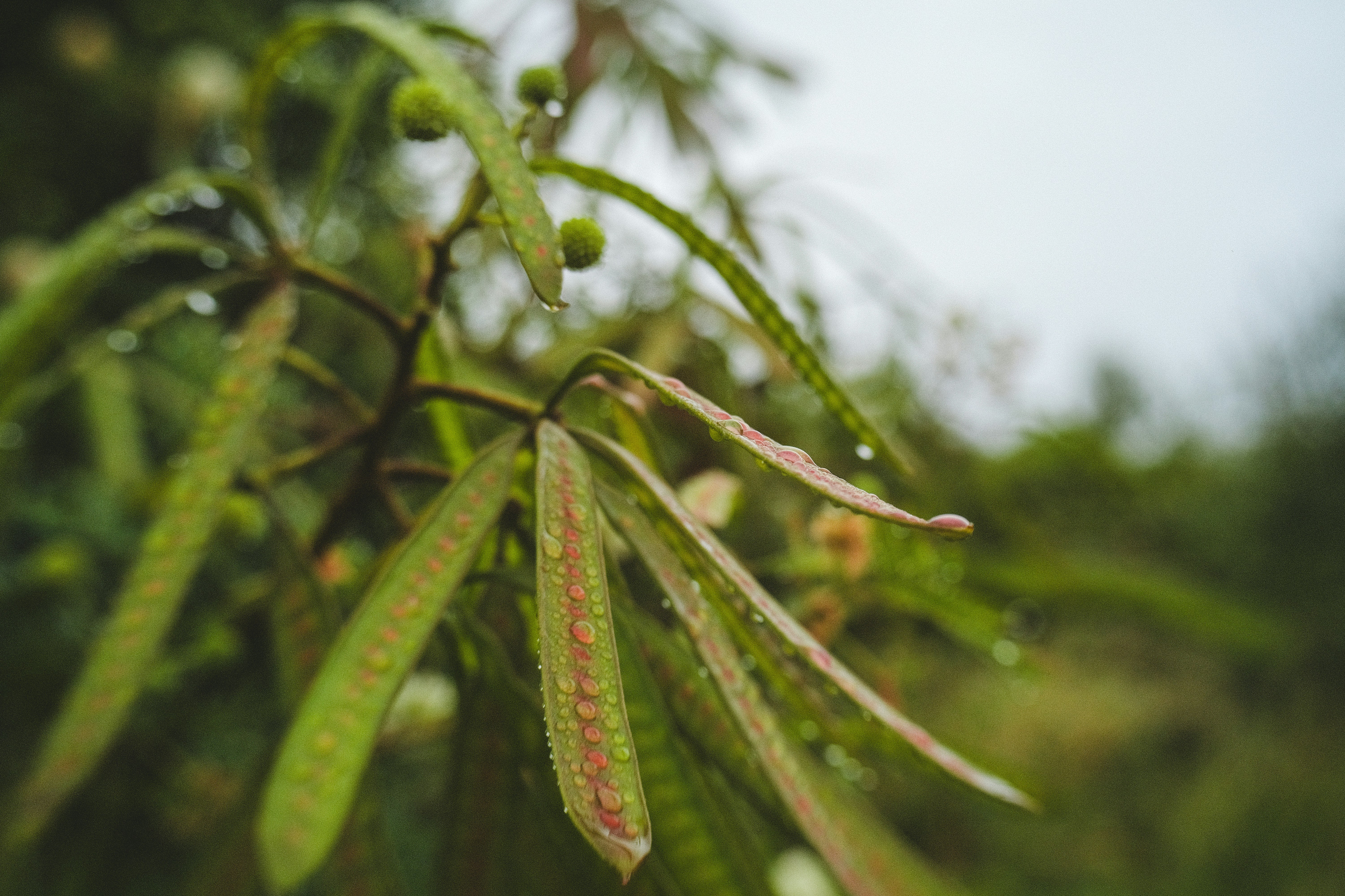 Photo by eli_hirtzel