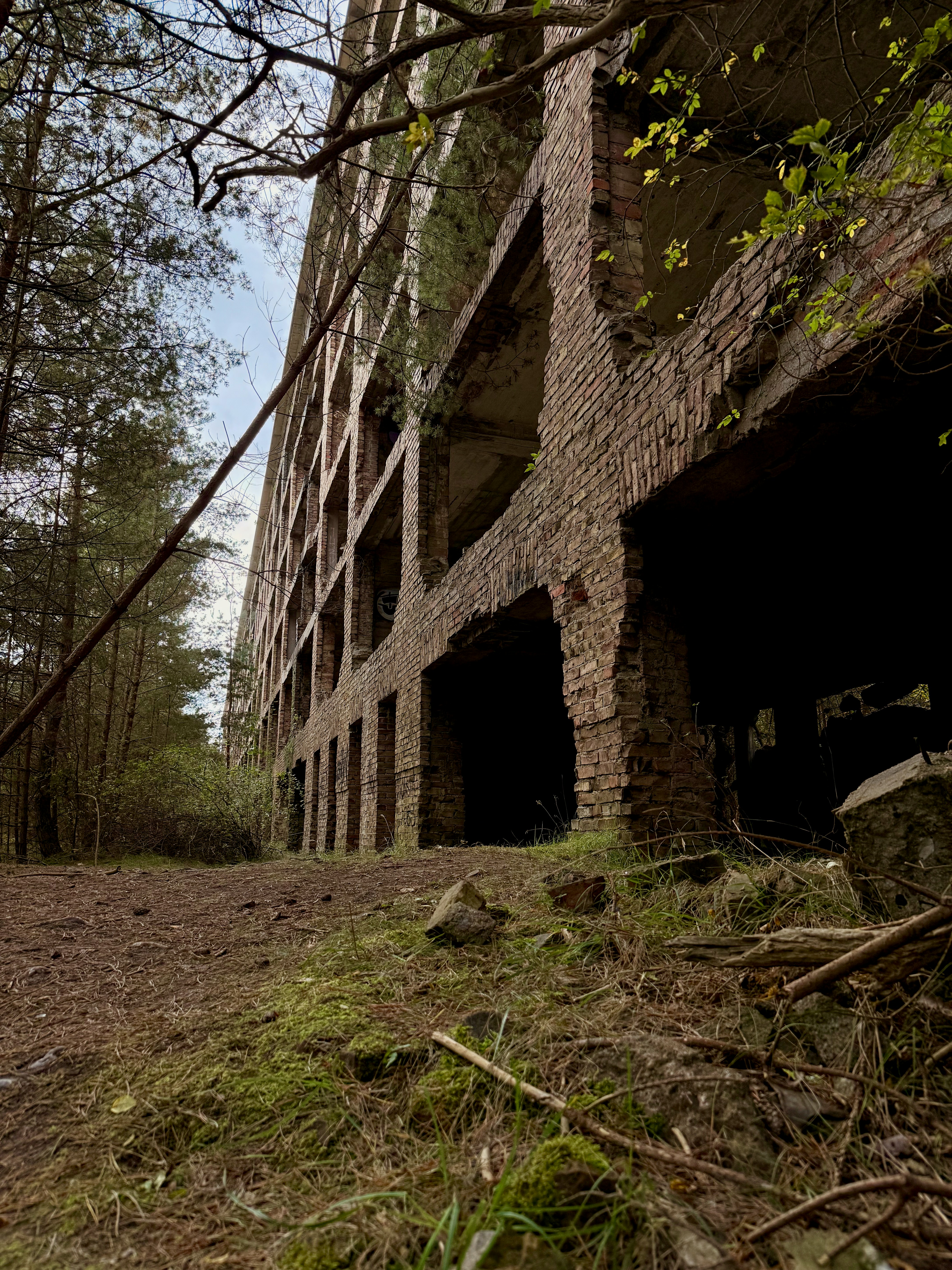 Verlassenes Backsteingebäude, überwuchert von Bäumen und Moos