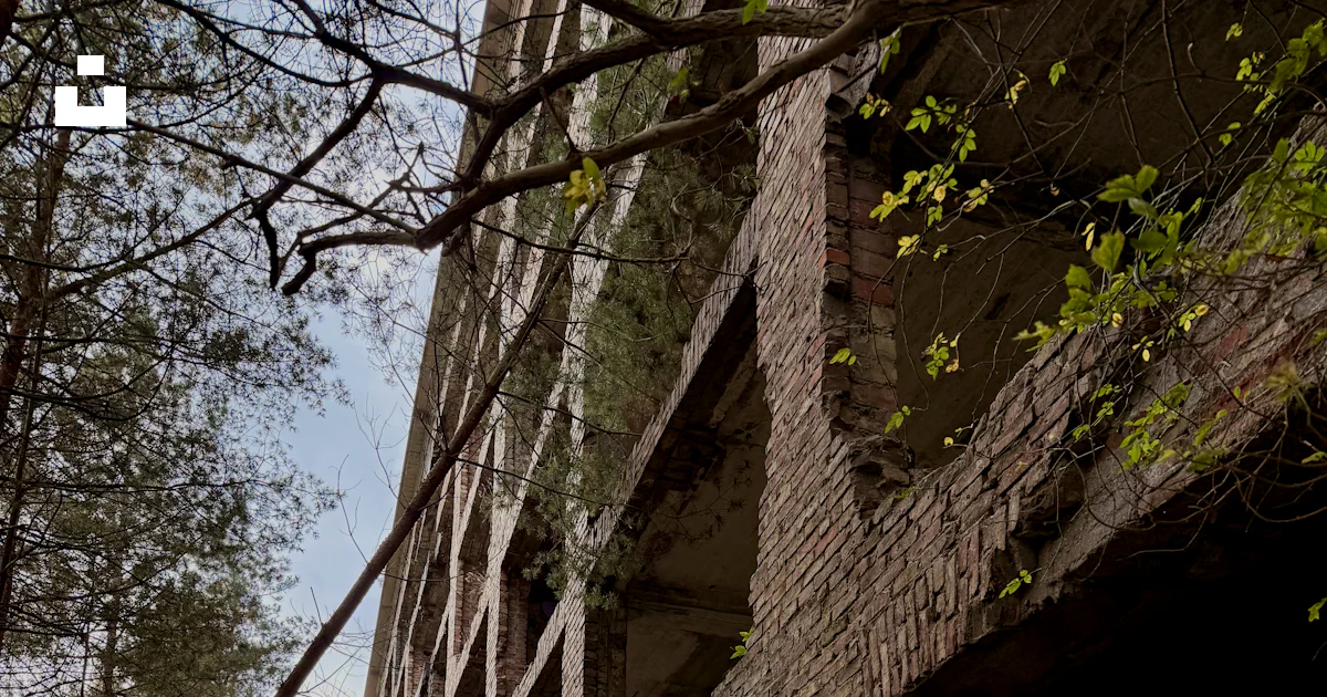 Overgrown Building Tree Abandoned brick building overgrown with trees and moss photo – Free ...