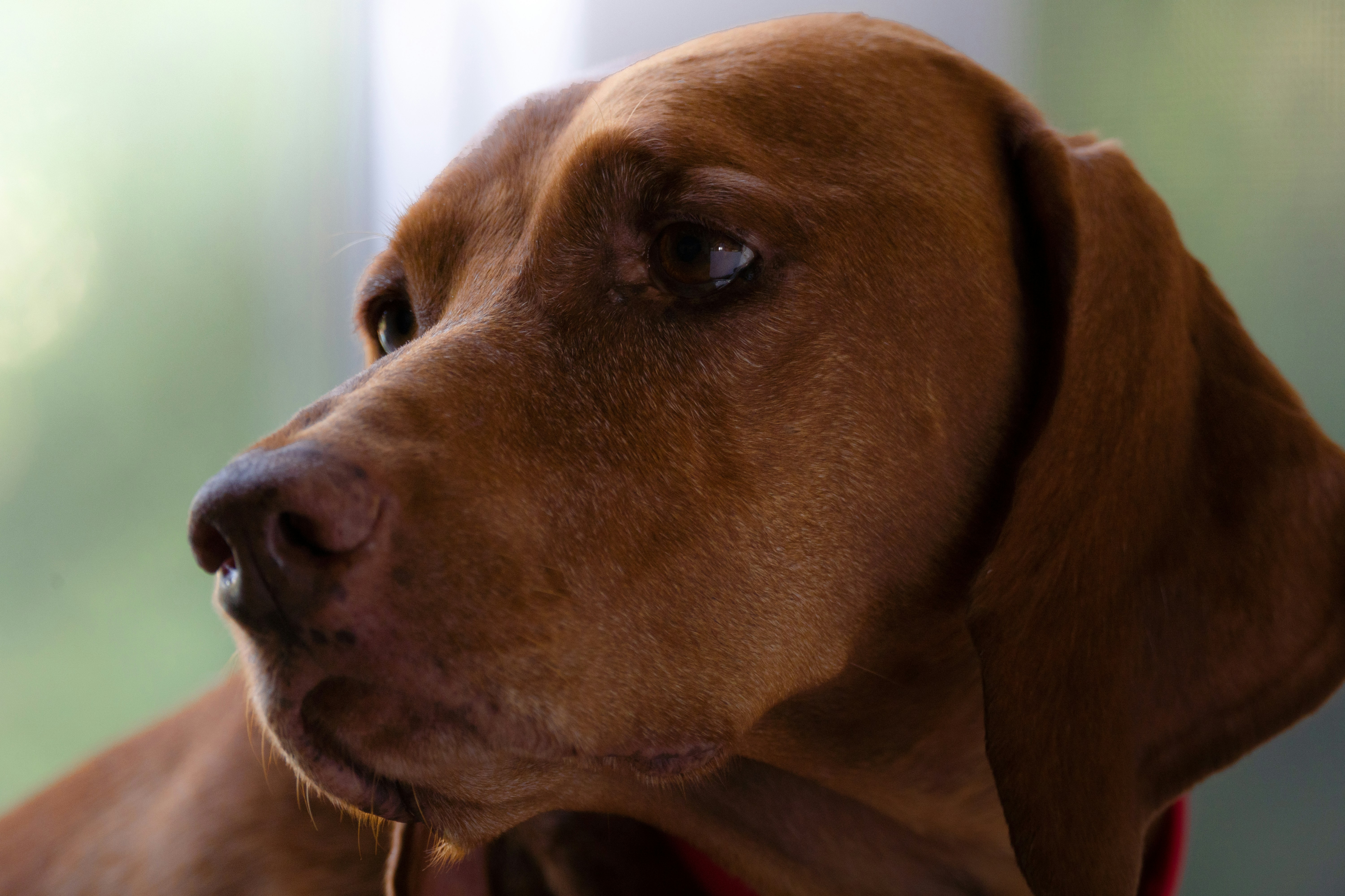 Photo by zackotto126