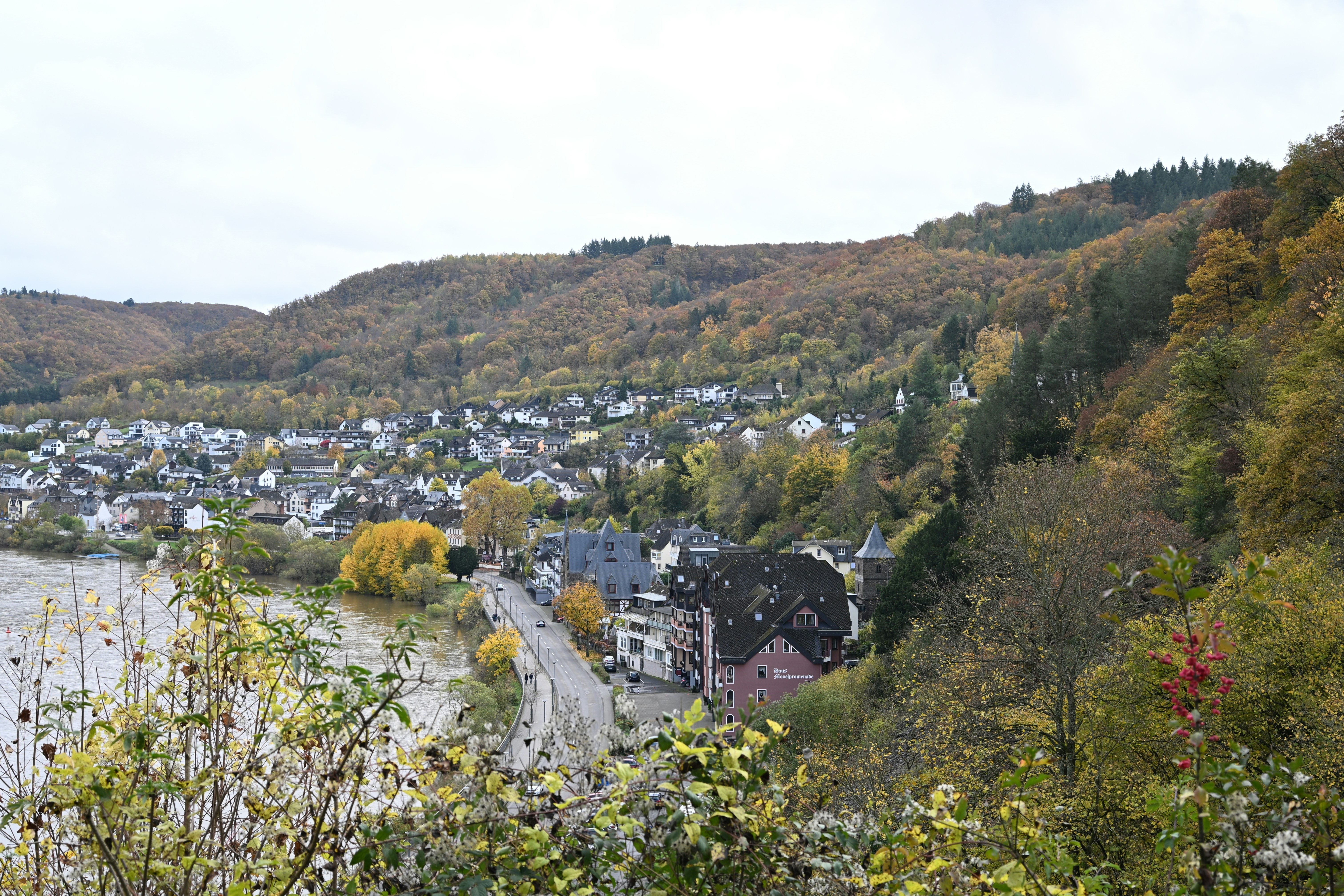 Trivia nights in Hilshire Village, United States