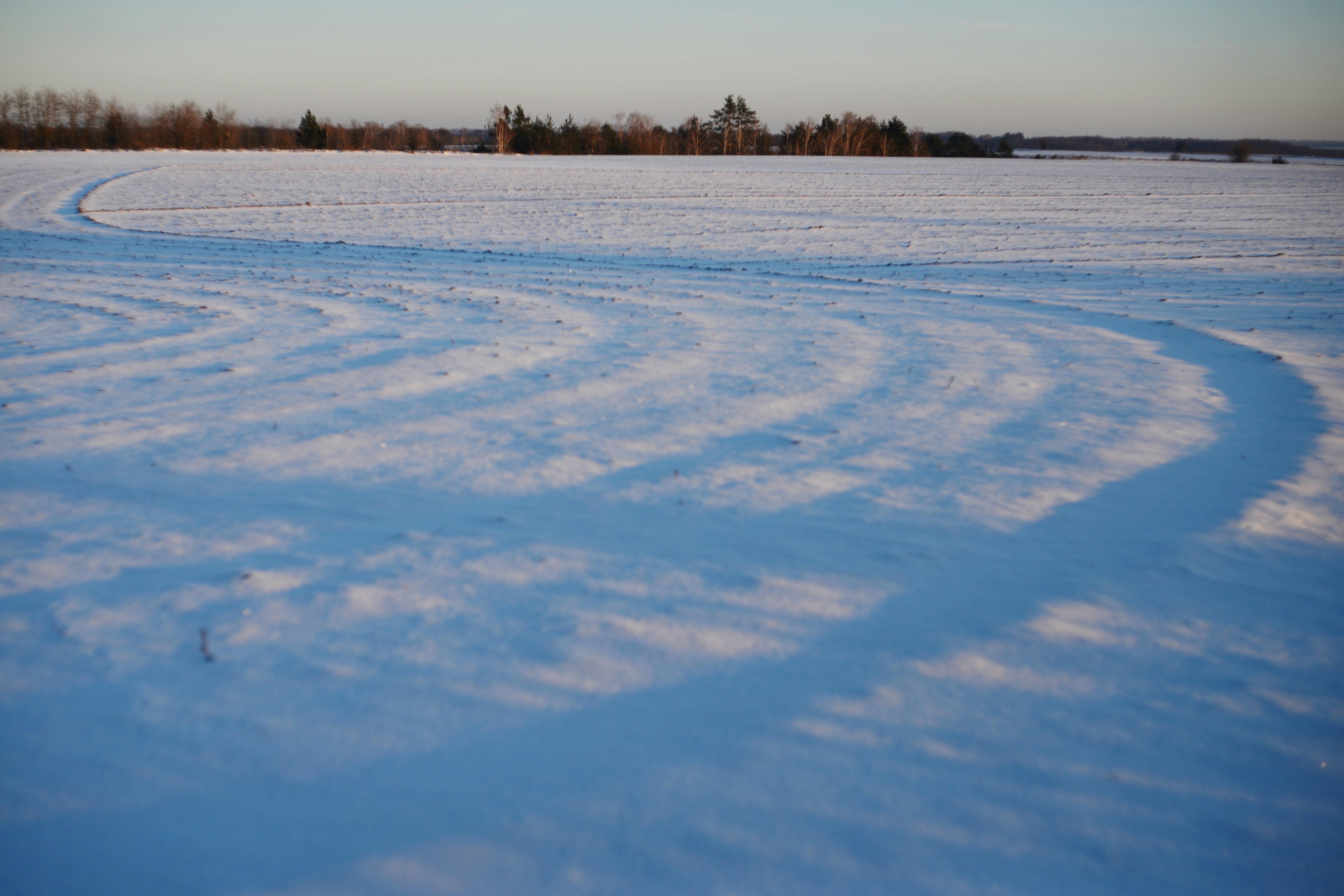 Photo by cherstve_pechivo