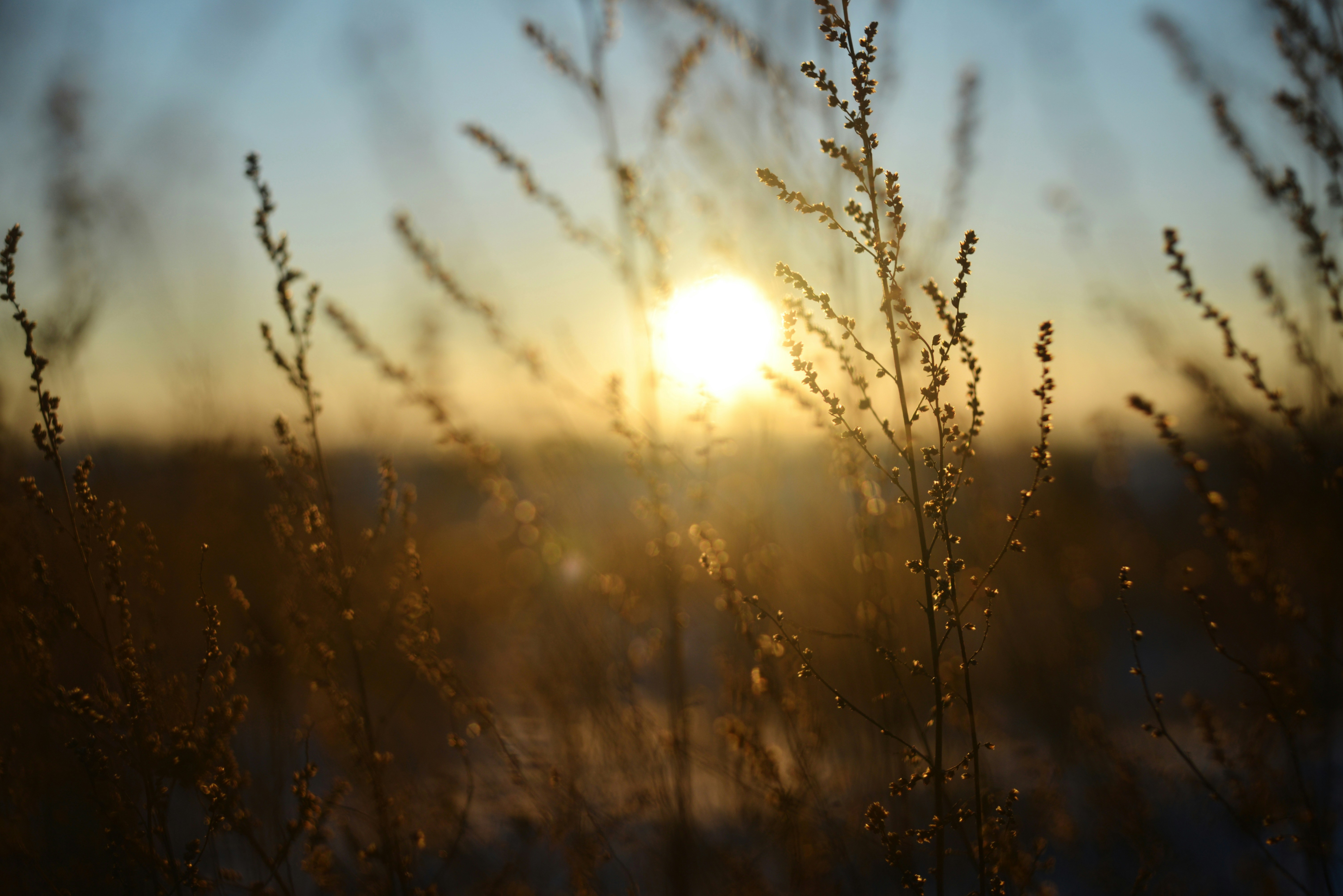 Photo by cherstve_pechivo