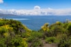 Lush green coastal landscape overlooking a blue ocean
