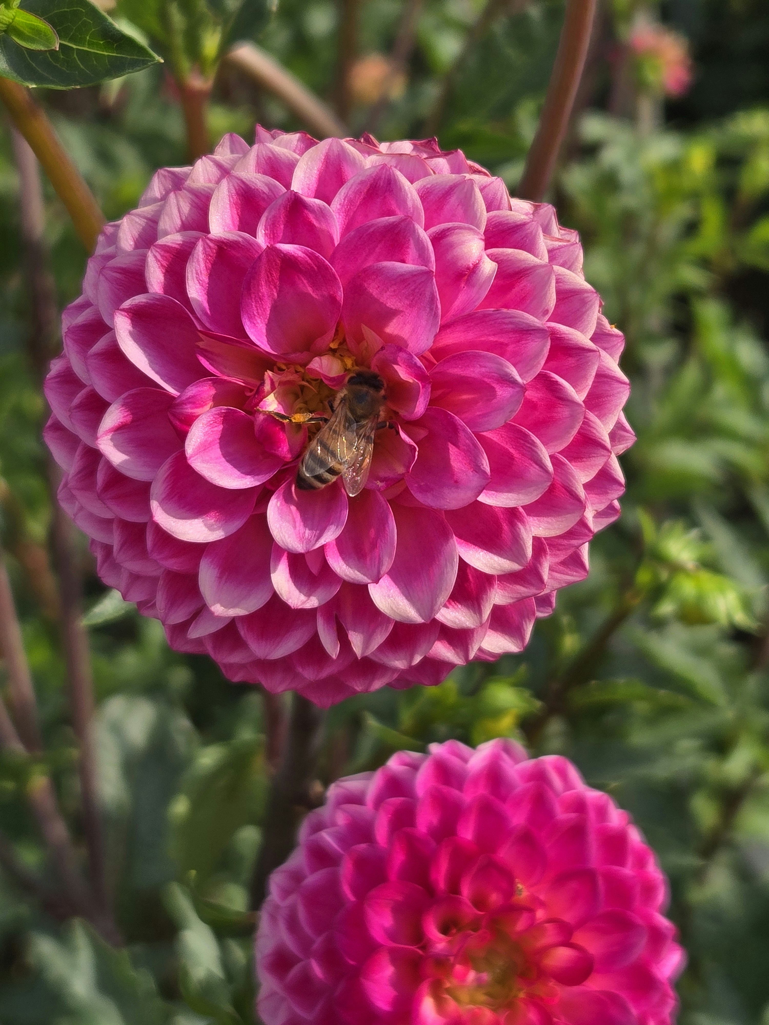 Photo by acaciabrooke