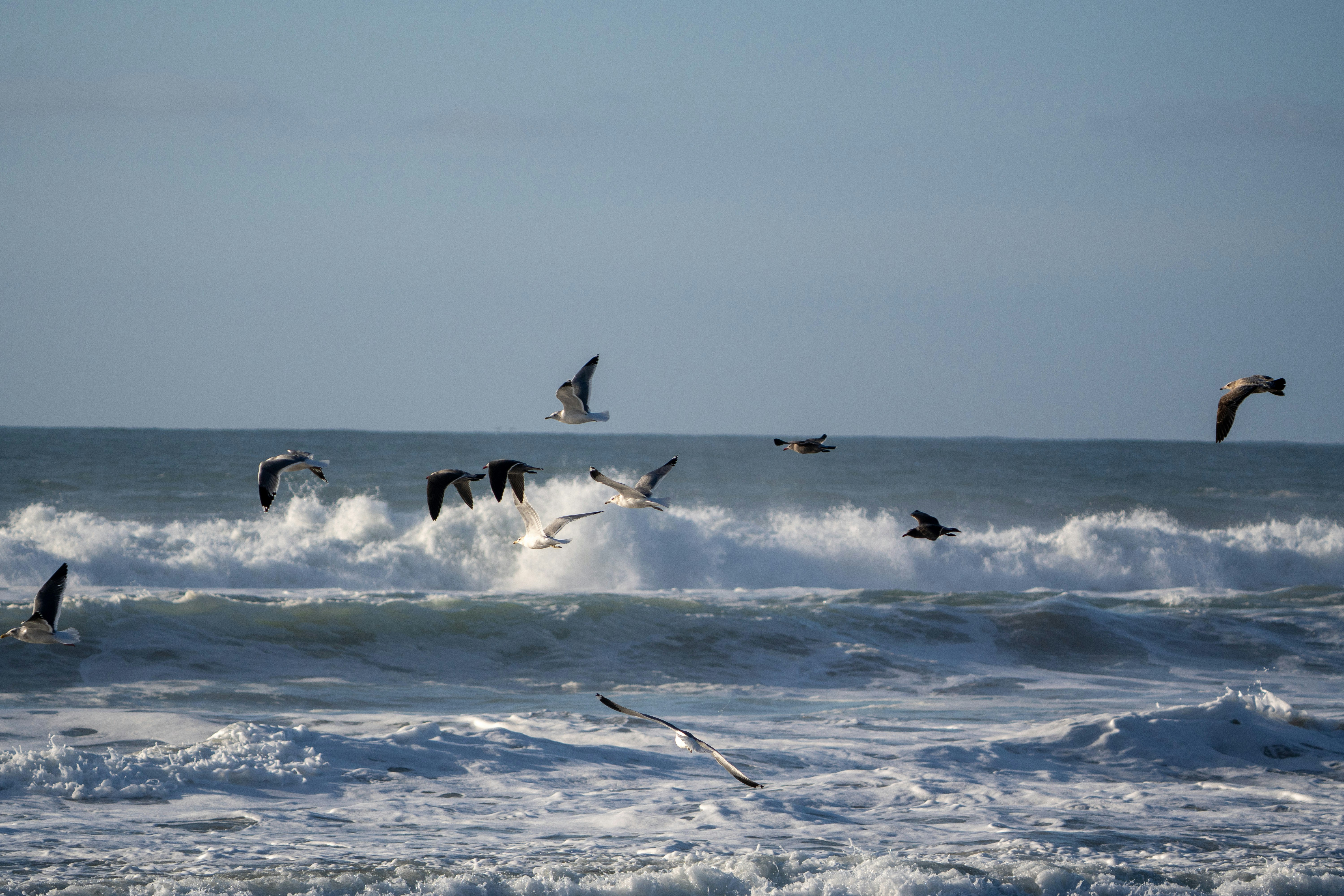 Photo by zacharia_17