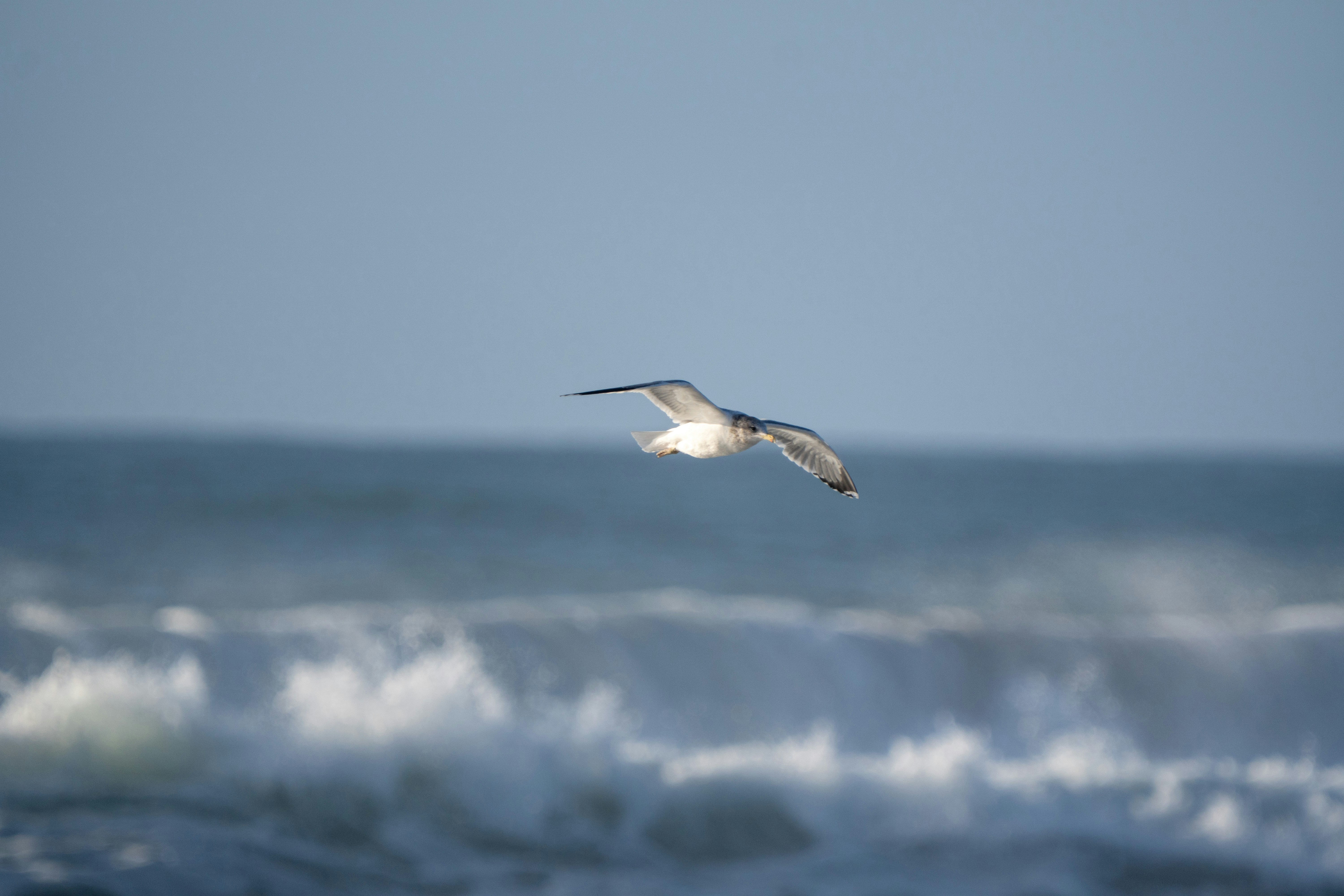 Photo by zacharia_17