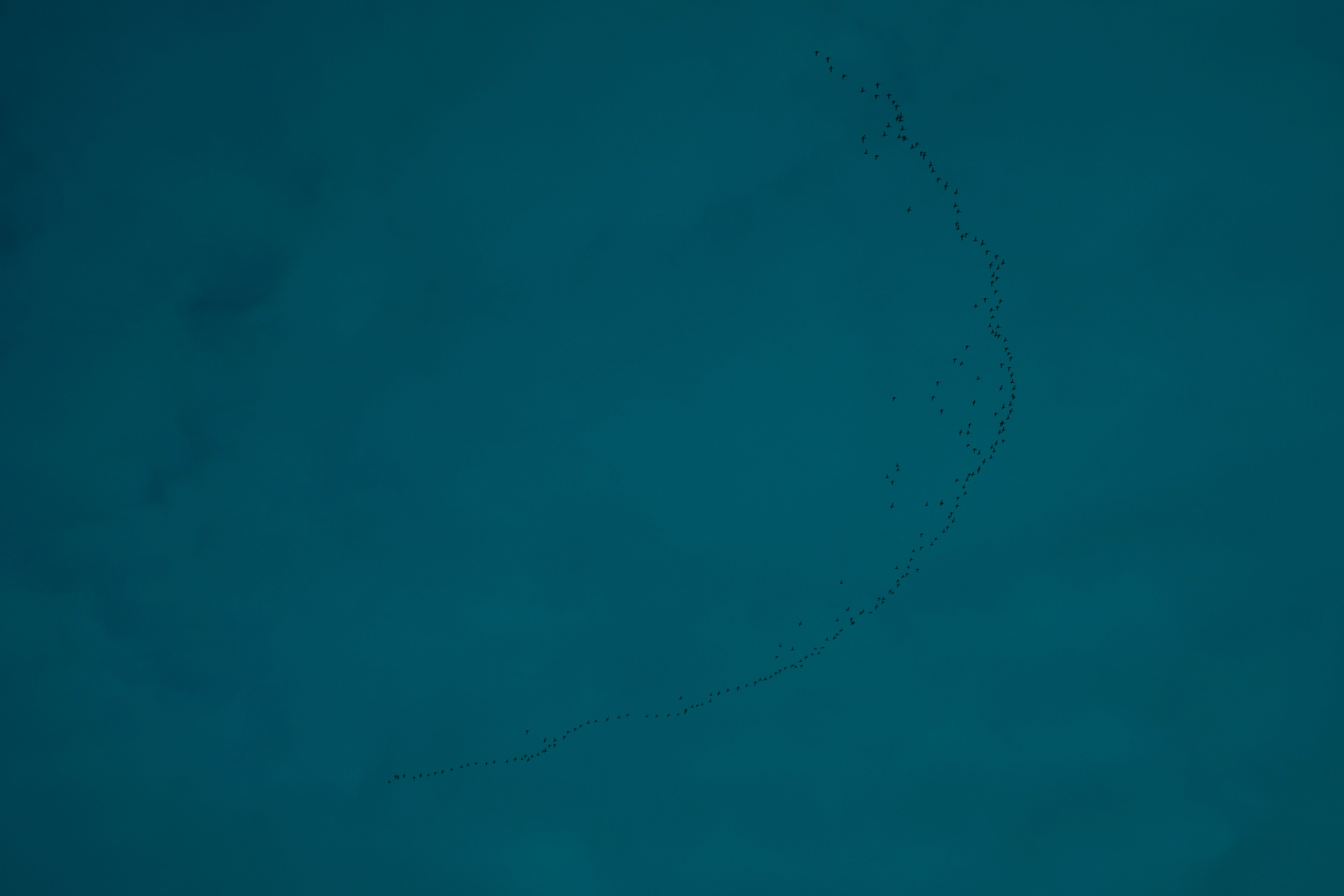 Photo by alinachernovol