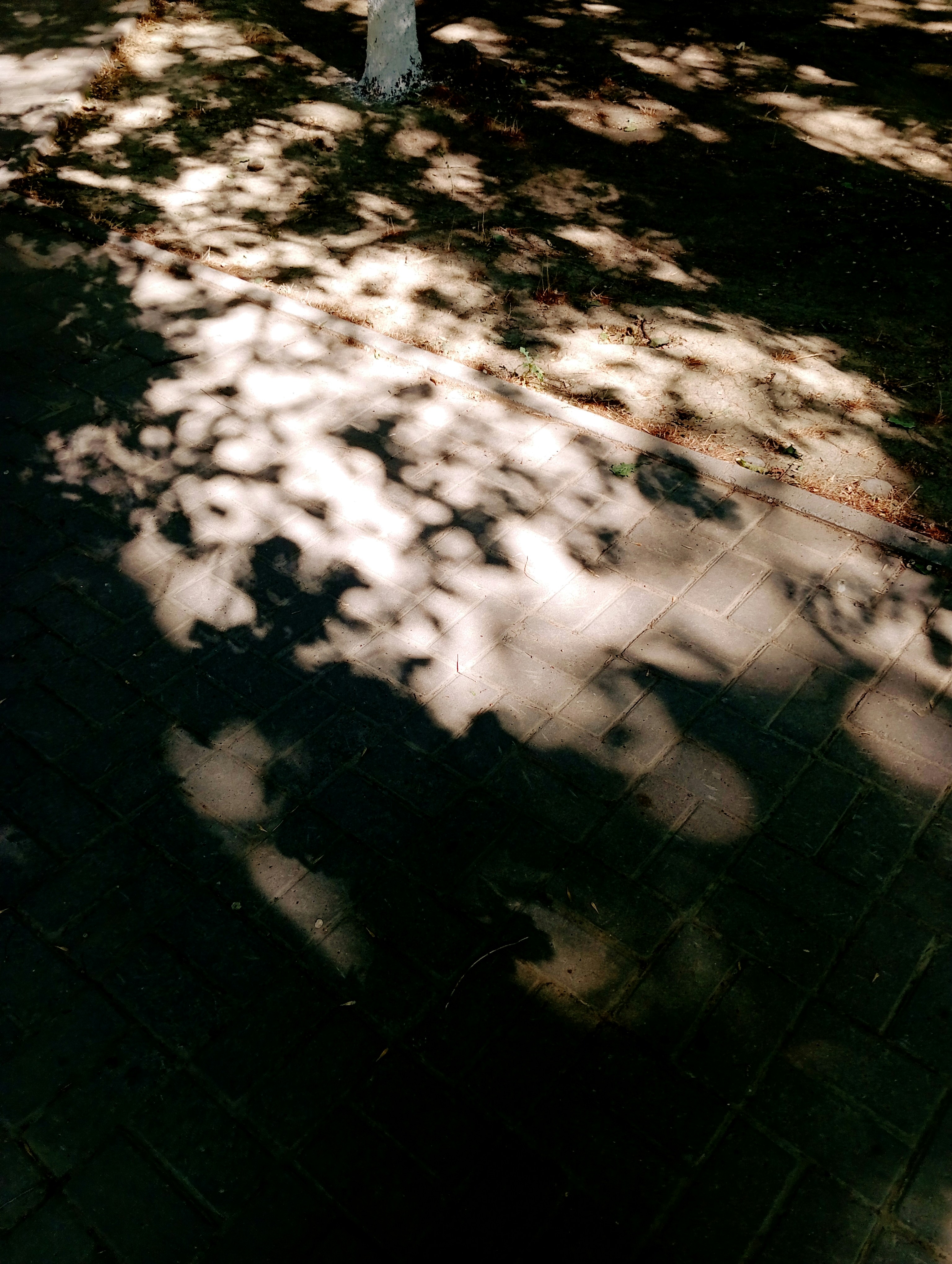 Photo by egor_log111