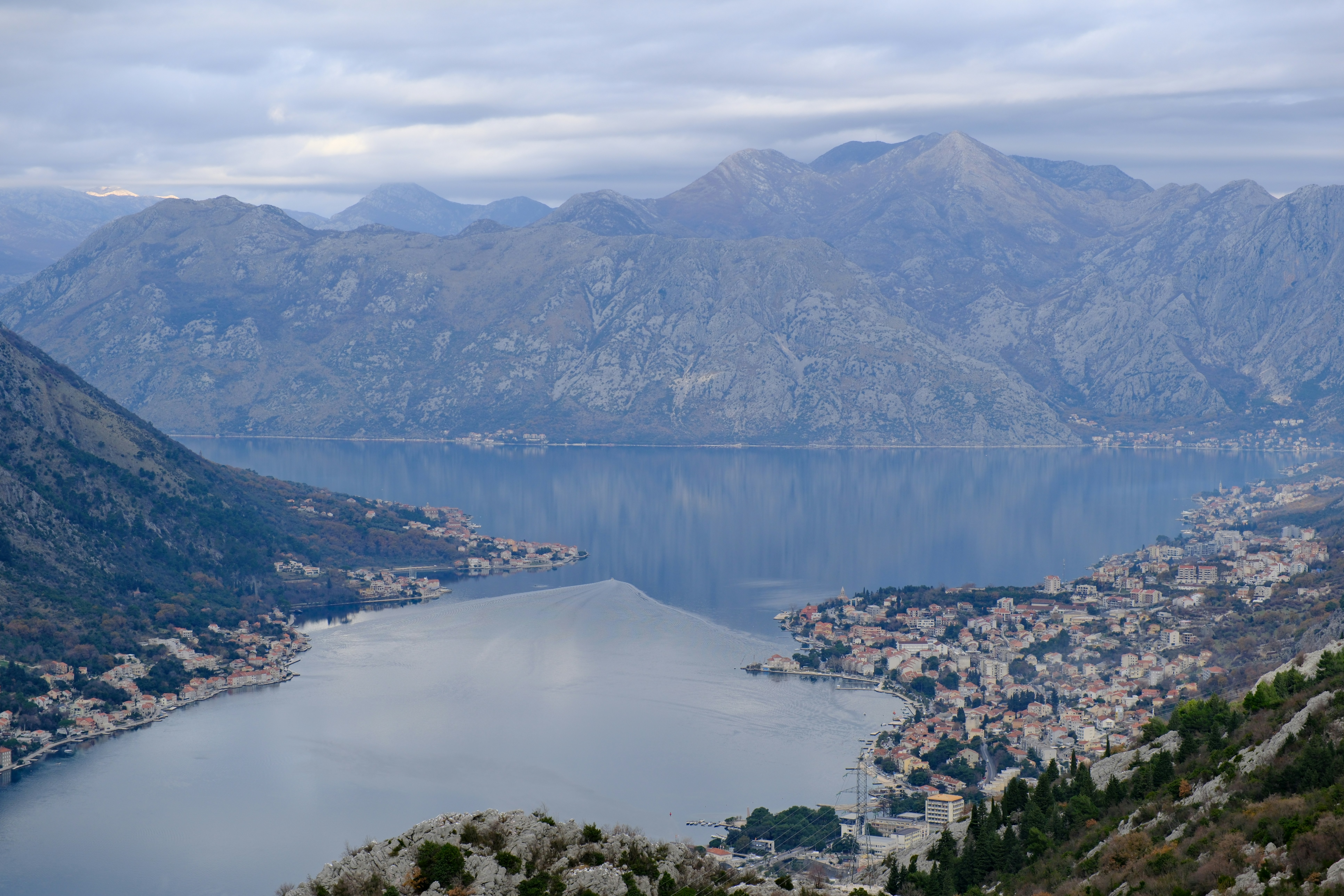 Photo by elinevanstraelen