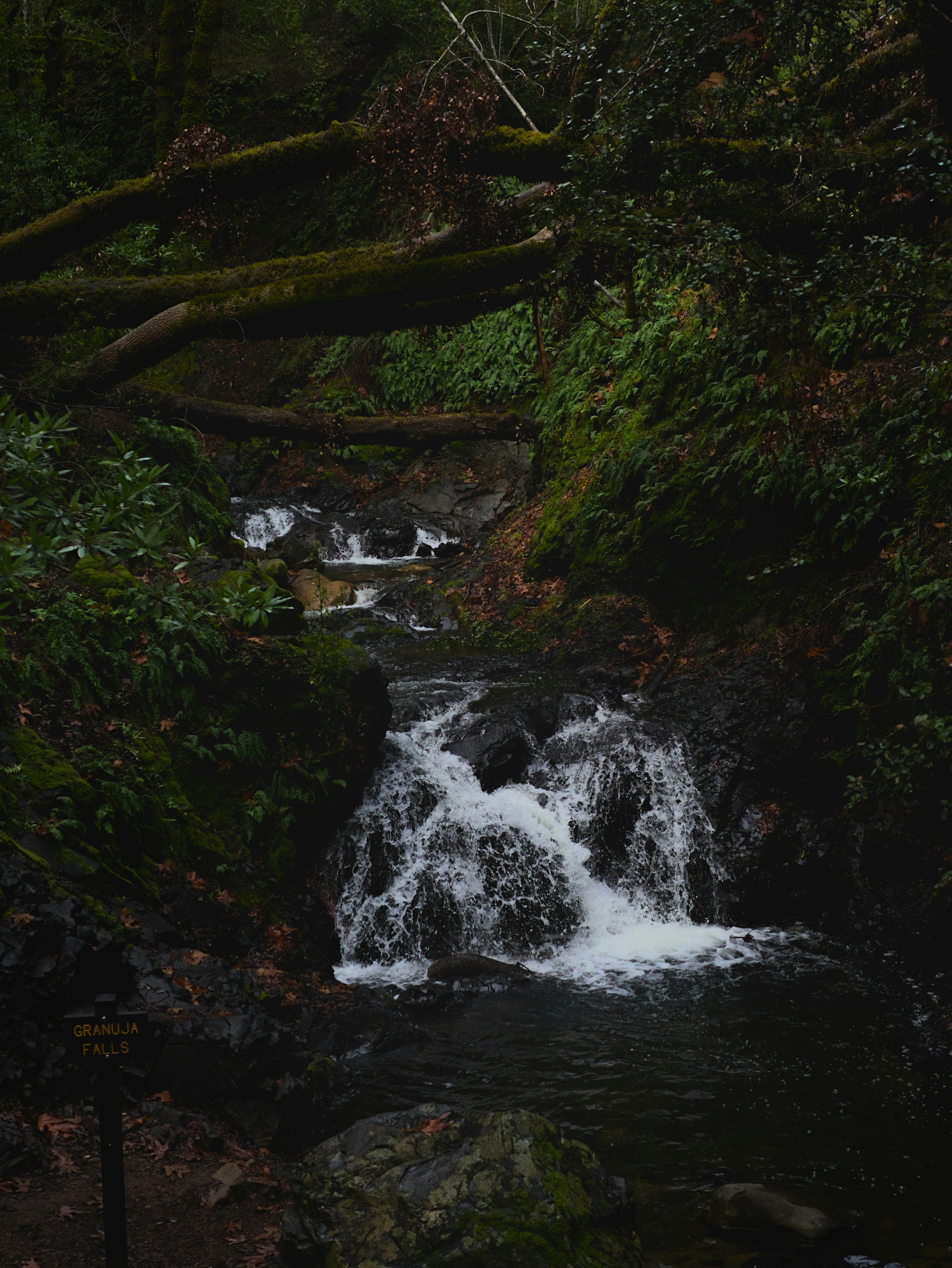 The Evolution of Outdoor Water Features in 2026: Quiet Tech, Eco‑Circulation, and Smart Integration