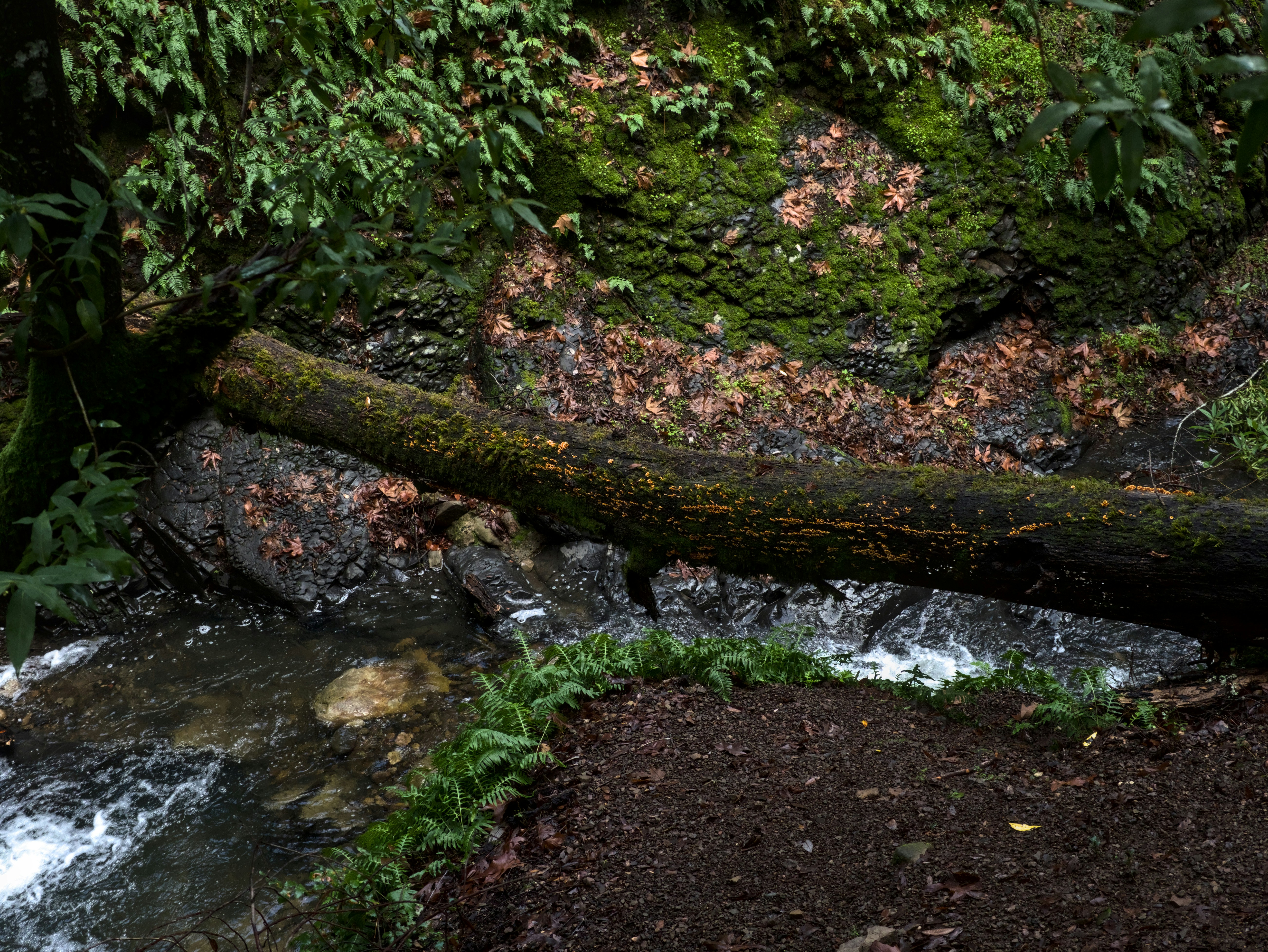 Photo by sohan_shingade