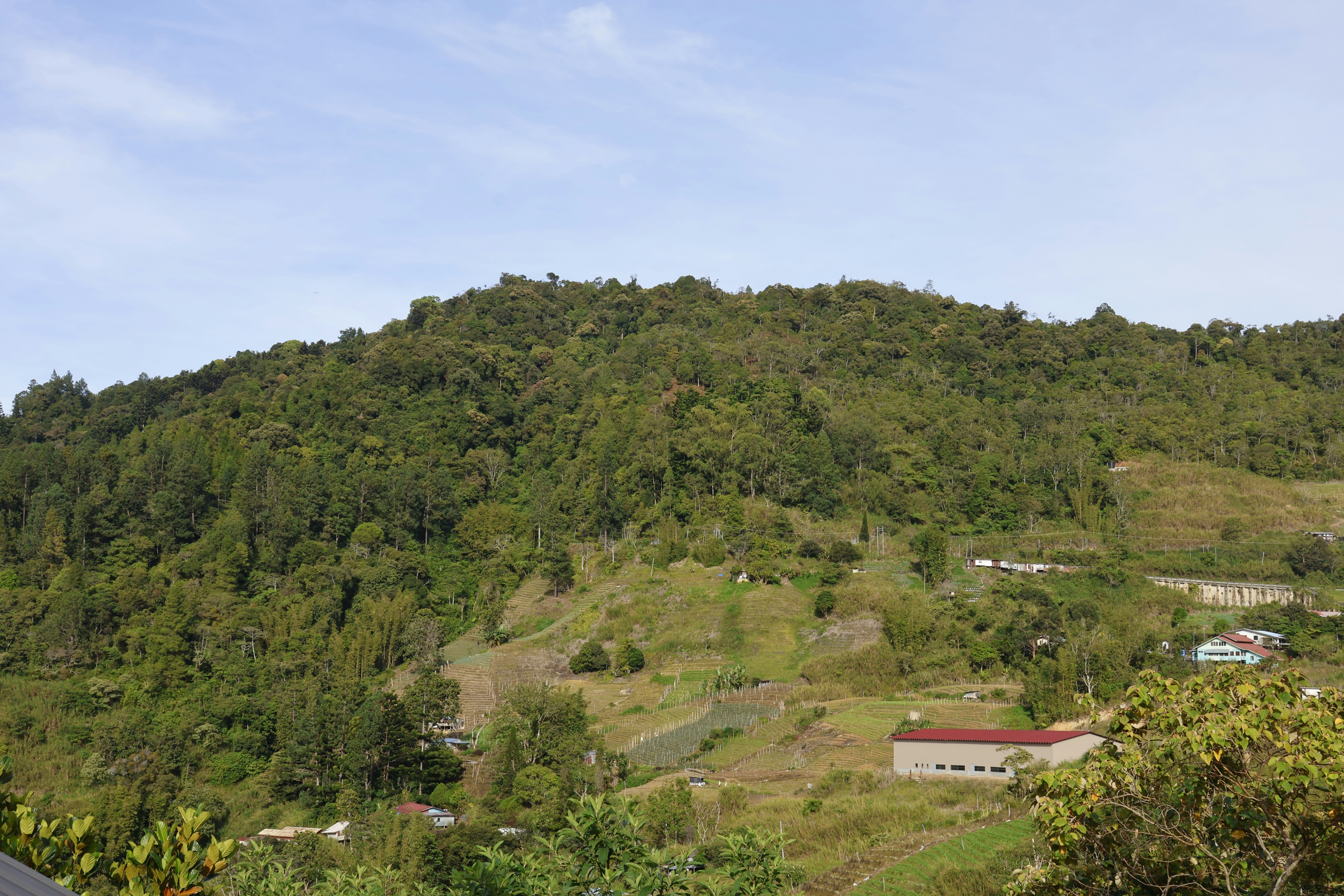 Green forested hills with scattered houses under a blue sky.