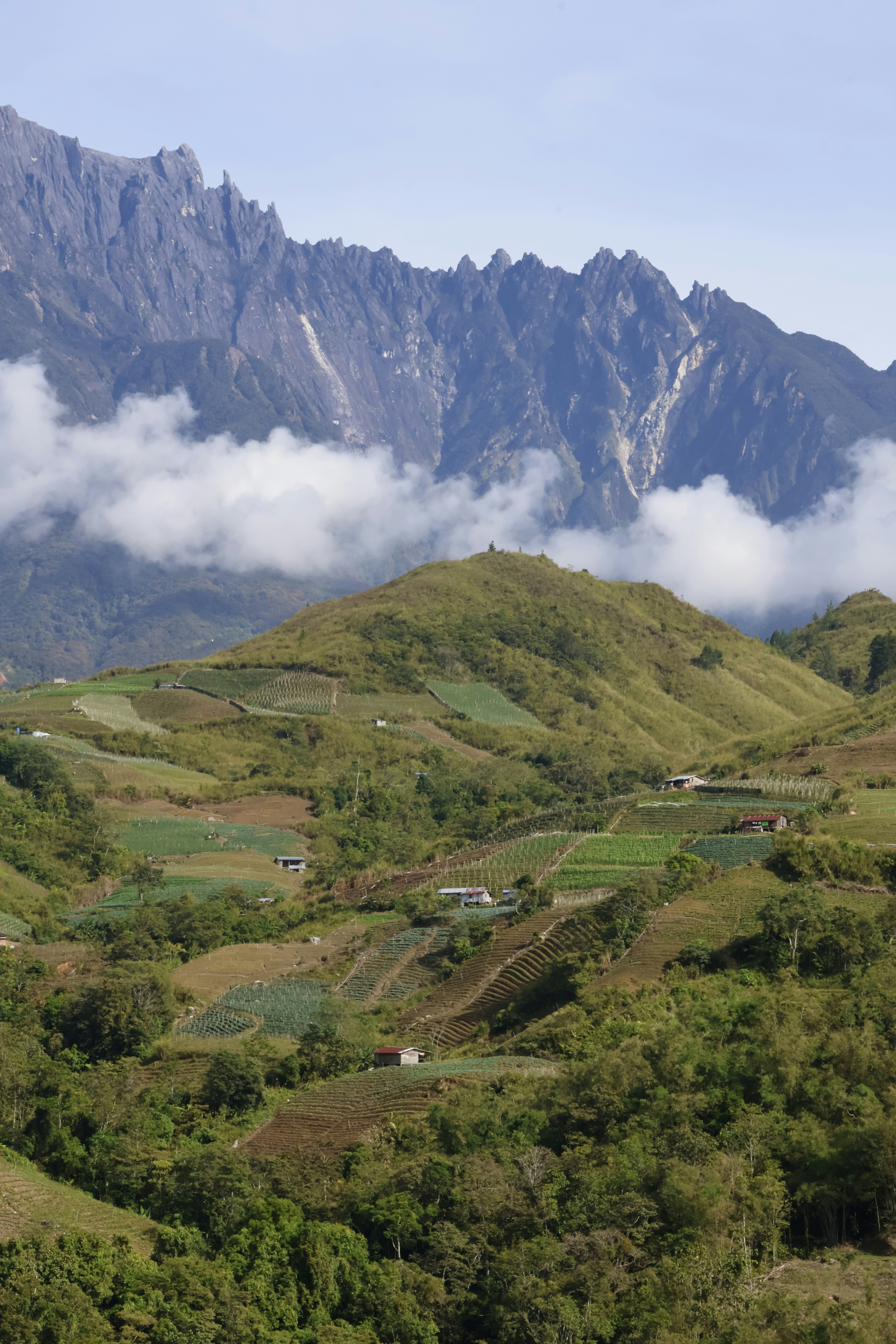 Terraced farms on rolling hills below a majestic mountain.