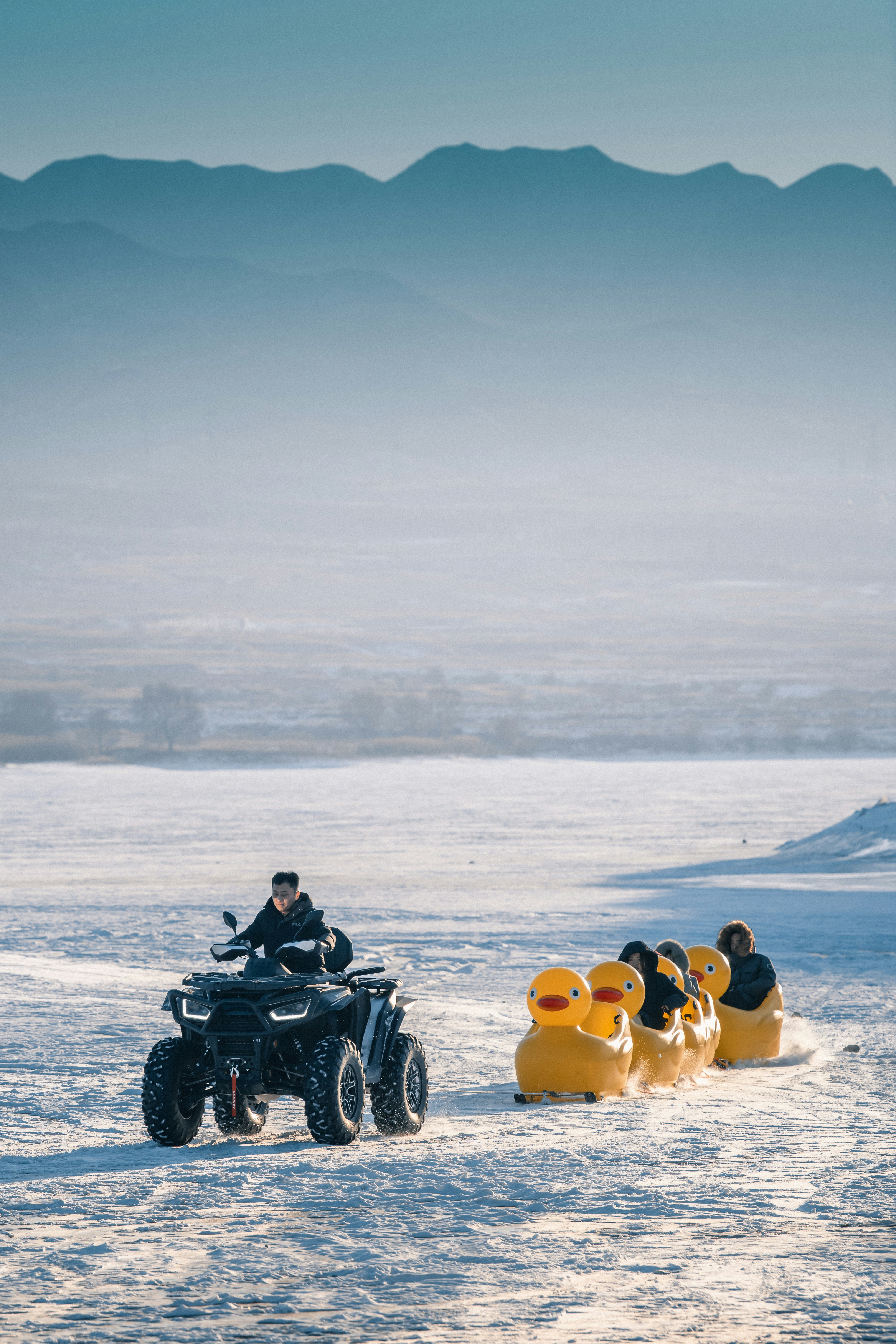 Atv pulls giant rubber ducks across snowy landscape.