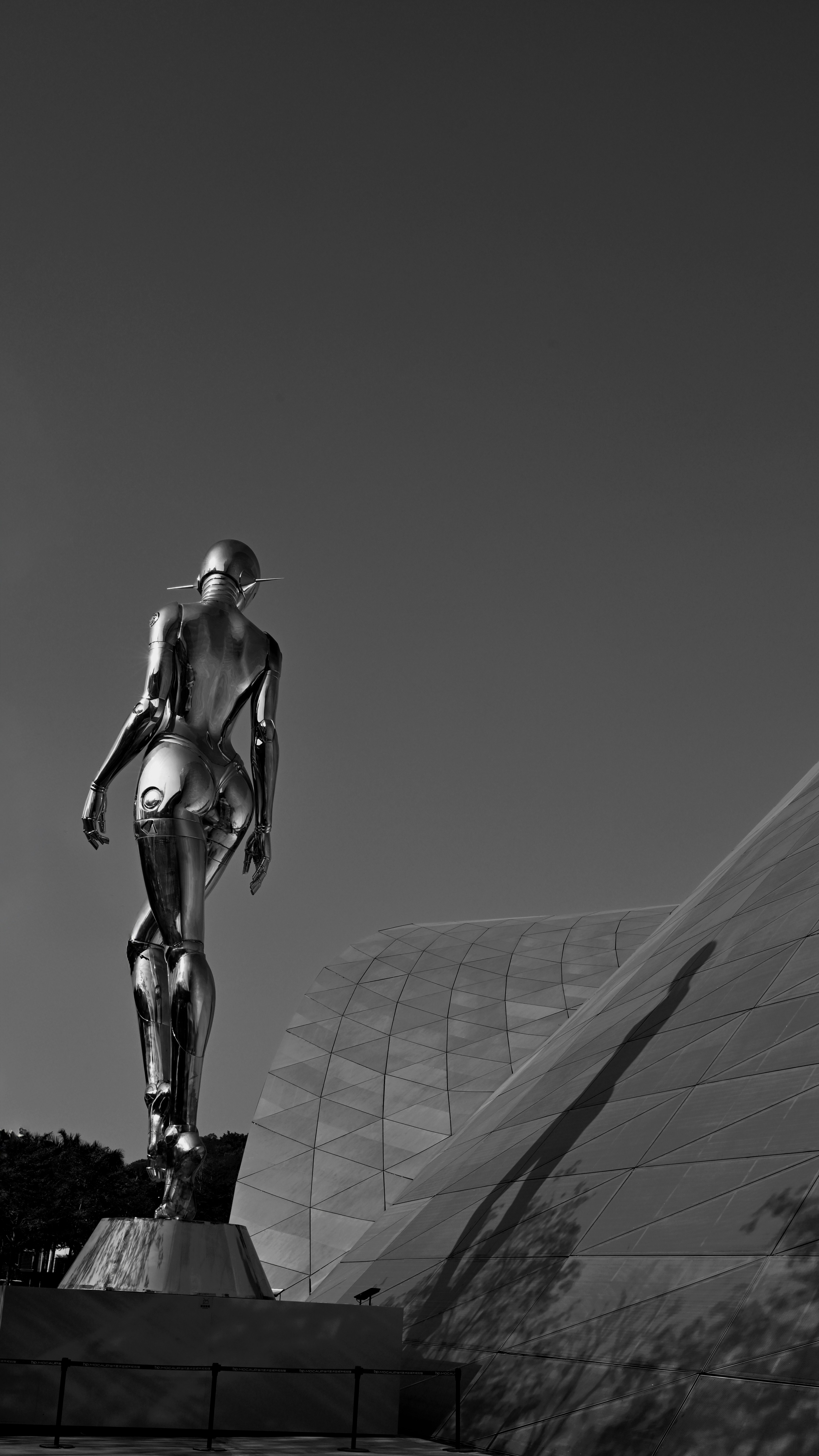 Photo by wangbinghua