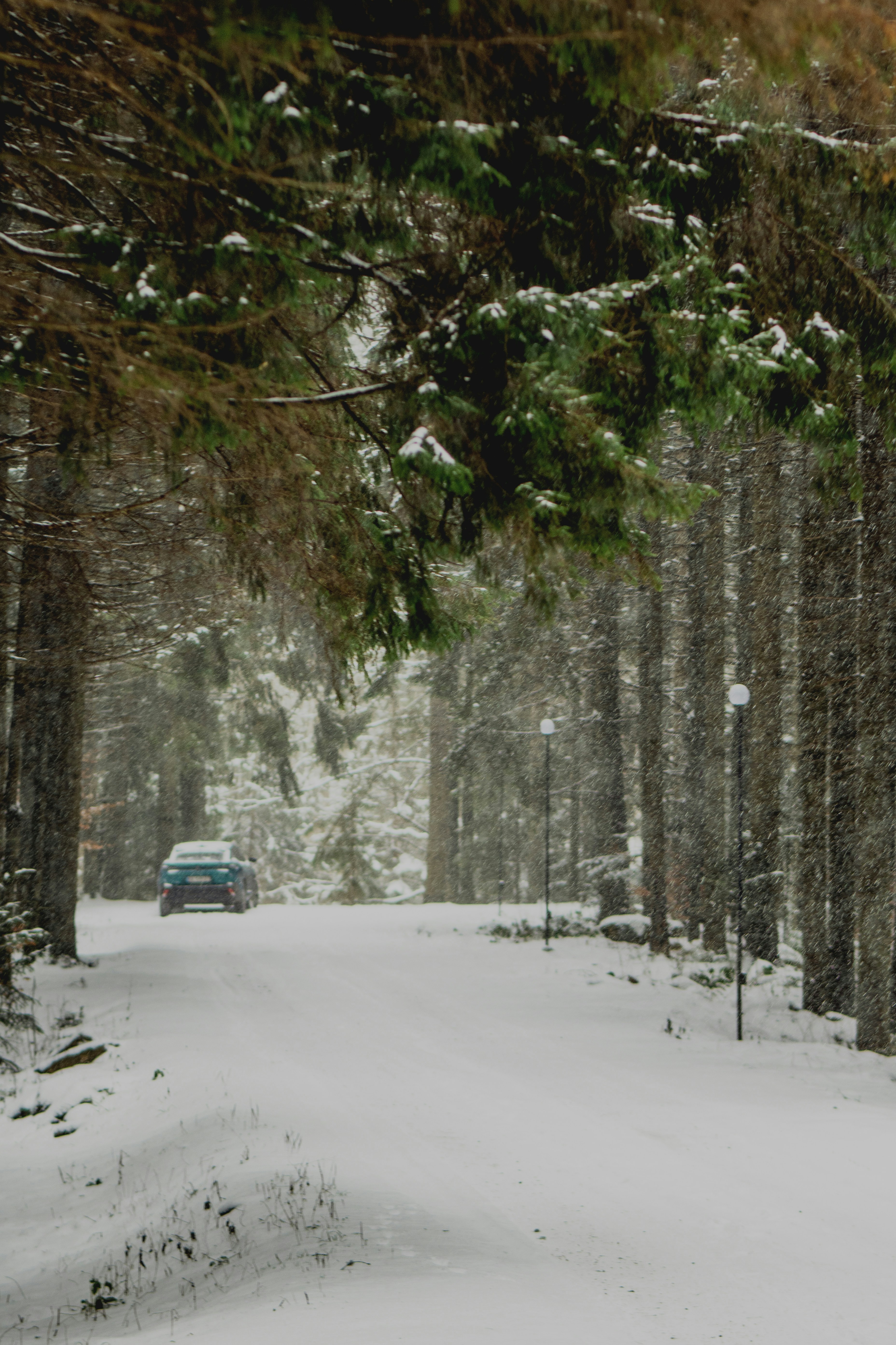 A car drives down a snowy forest road.