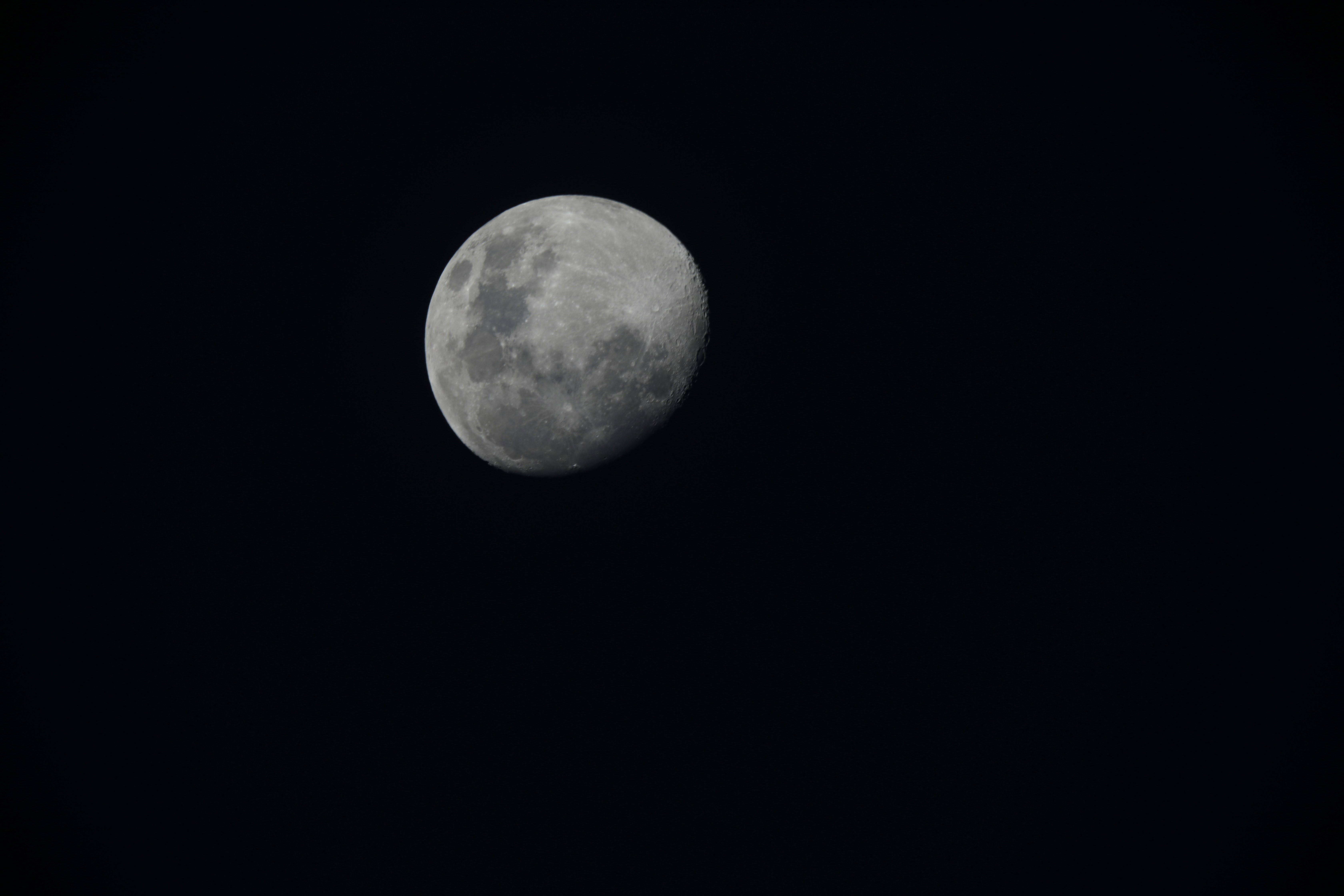 A bright moon hangs in the dark night sky.