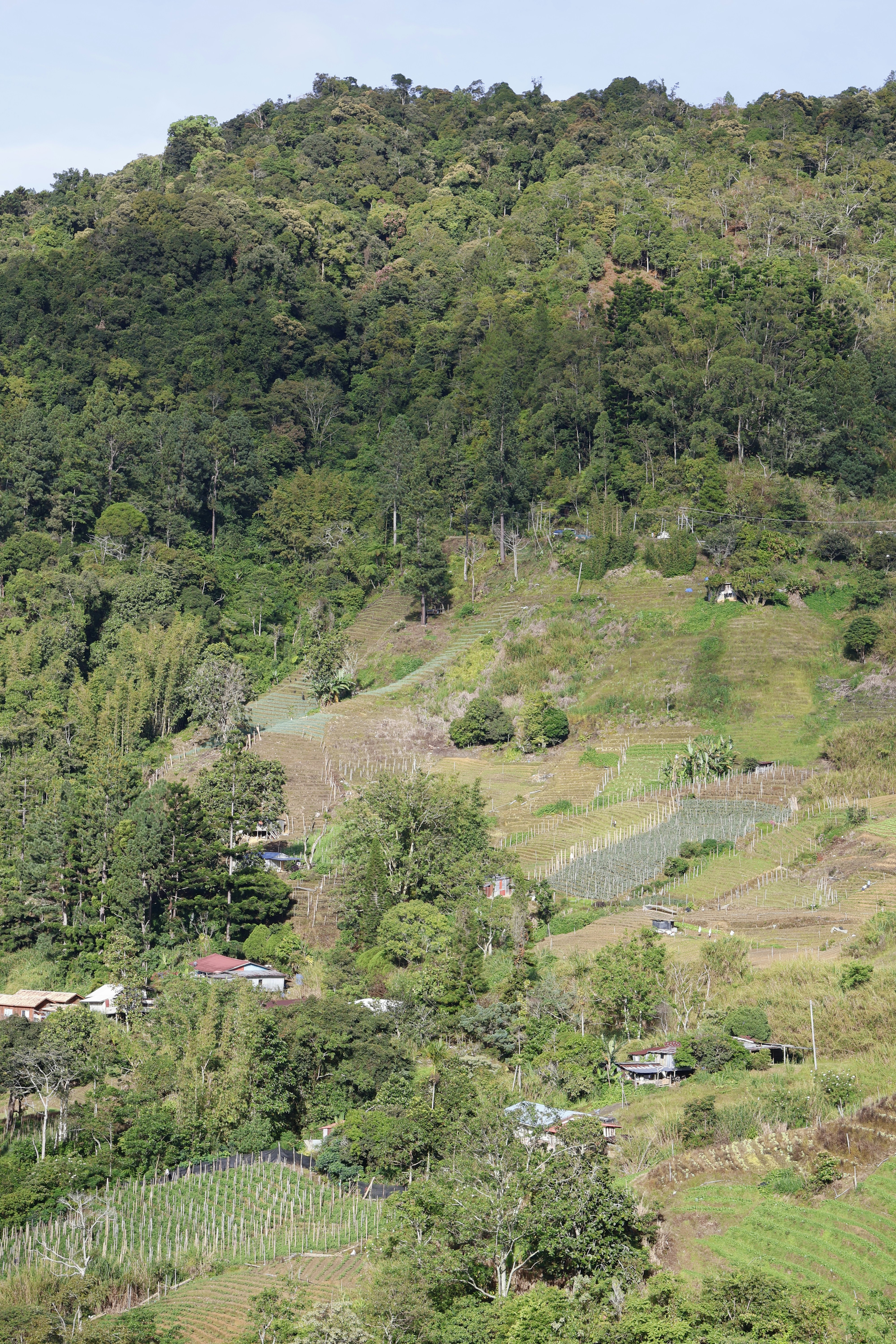 Sinai 2026: Sustainable Diving, Coastal Micro‑Experiences and the New Local Economy