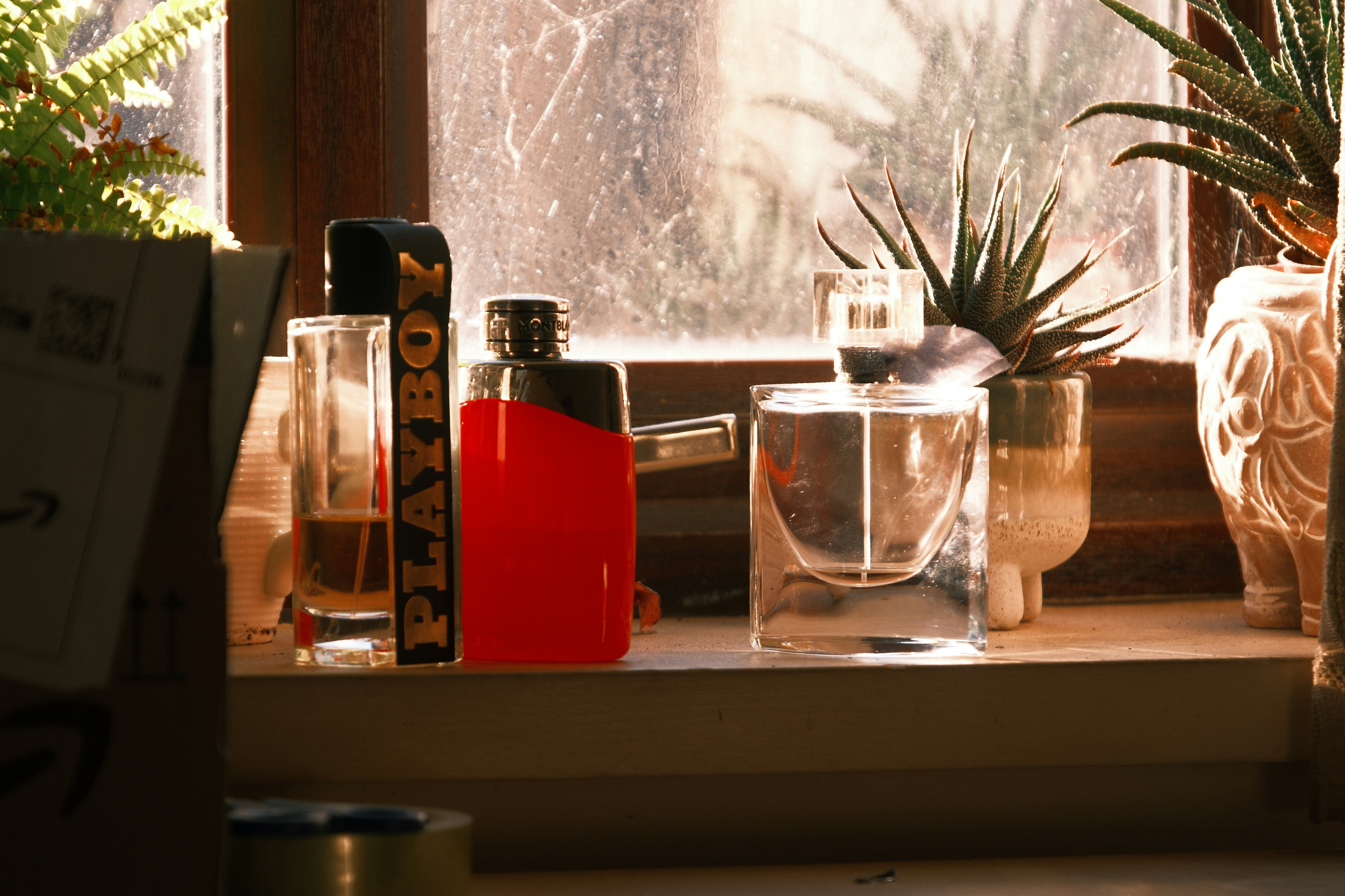 Perfume bottles and plants in windowsill