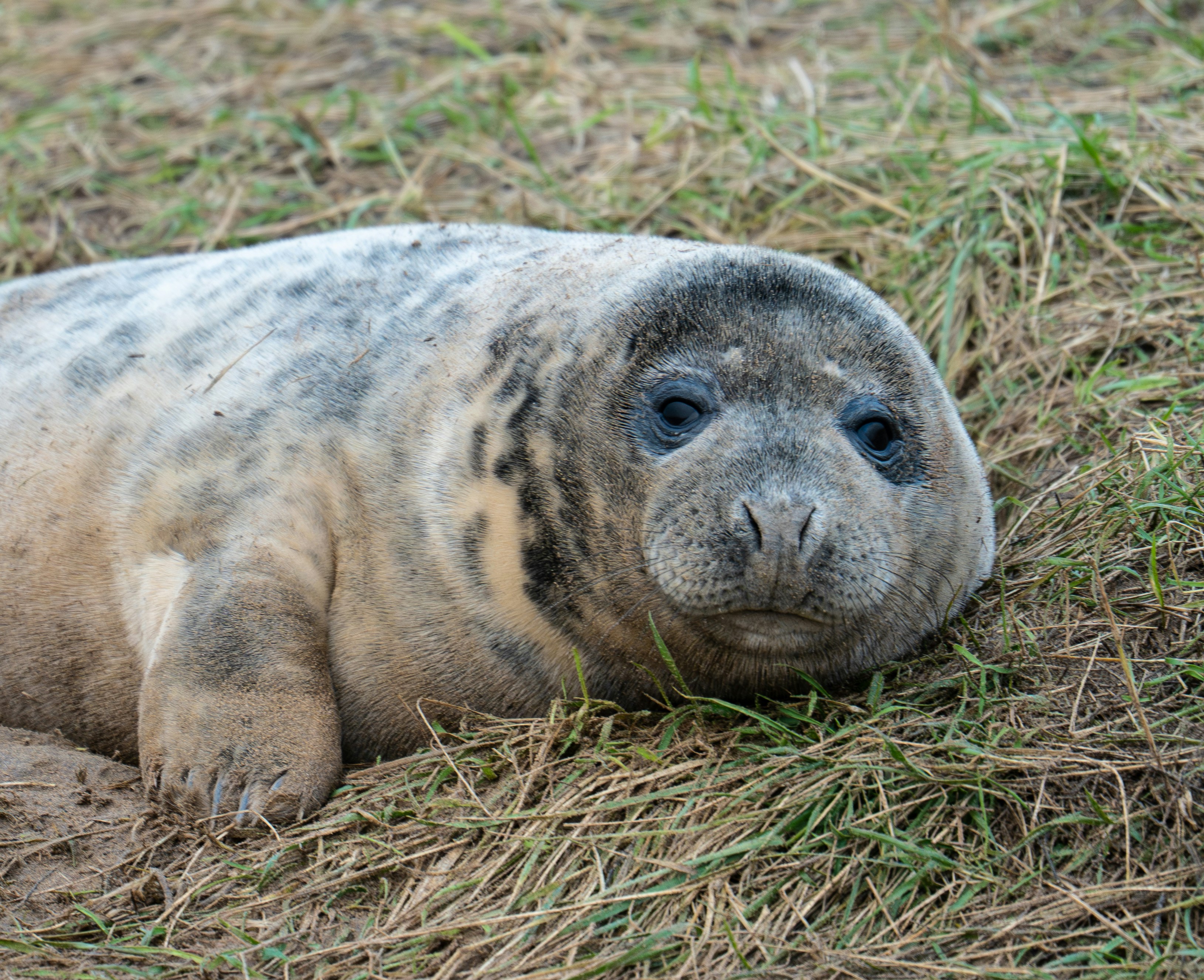 Photo by julia_fiander