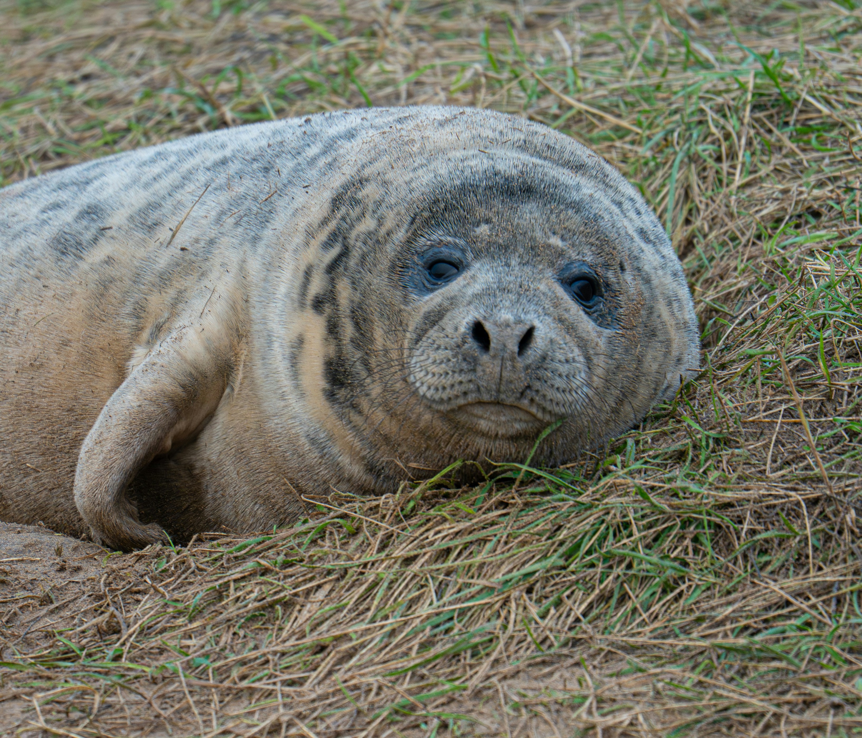 Photo by julia_fiander