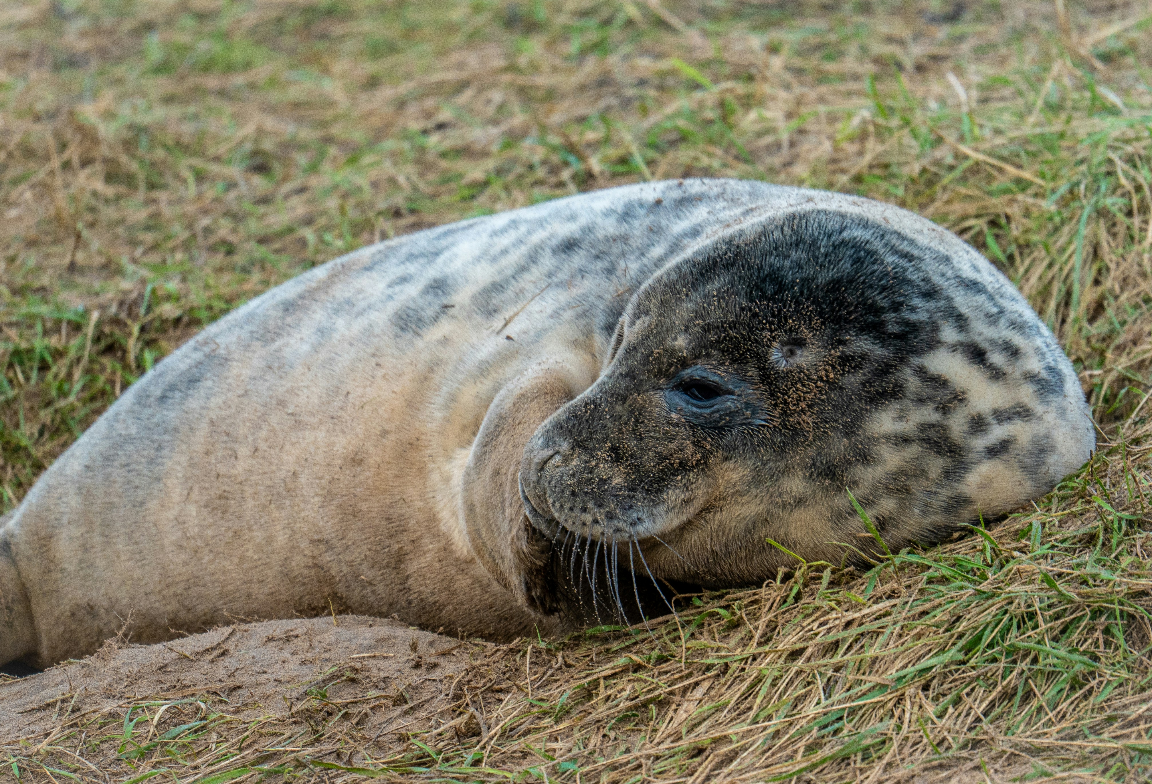 Photo by julia_fiander