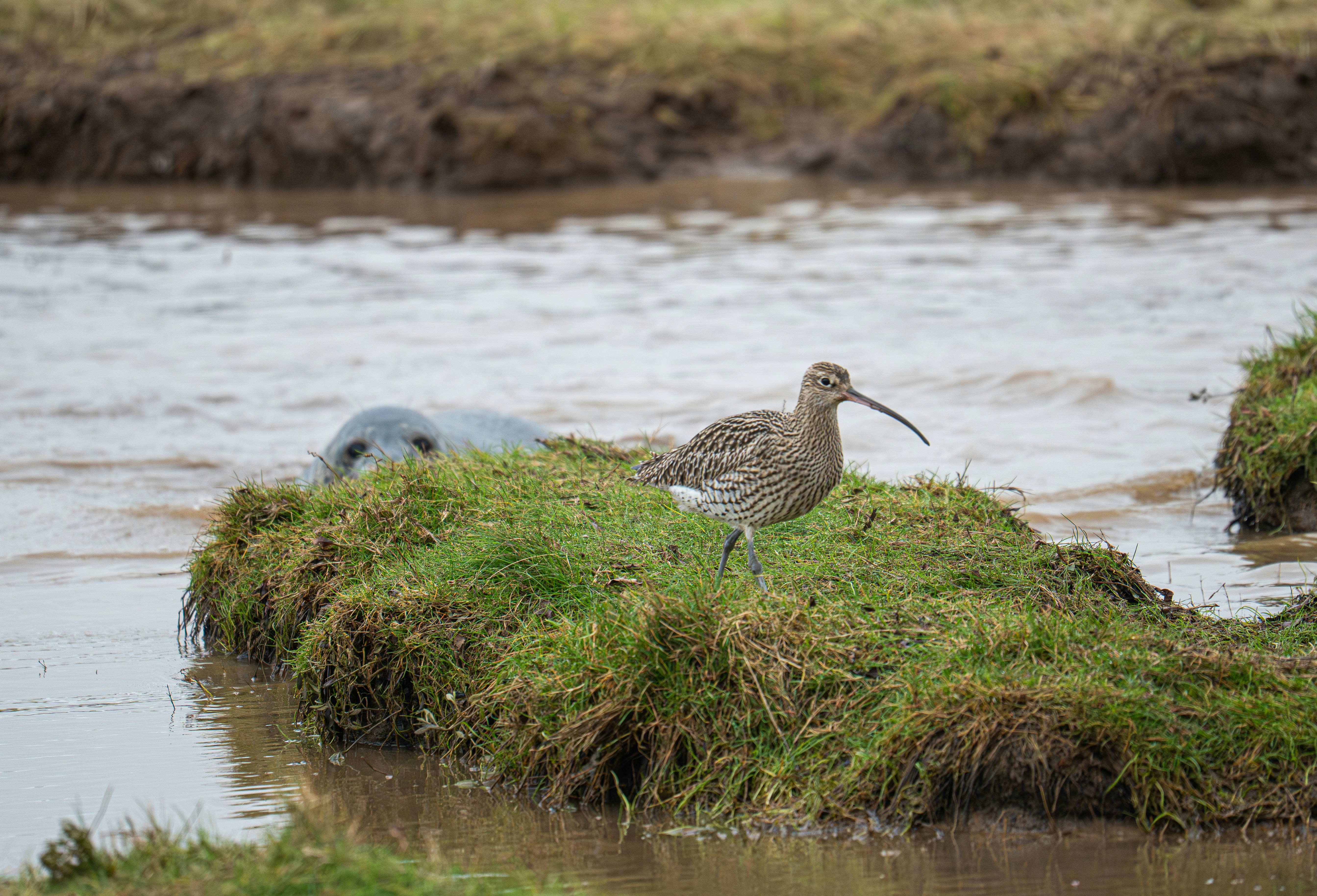 Photo by julia_fiander