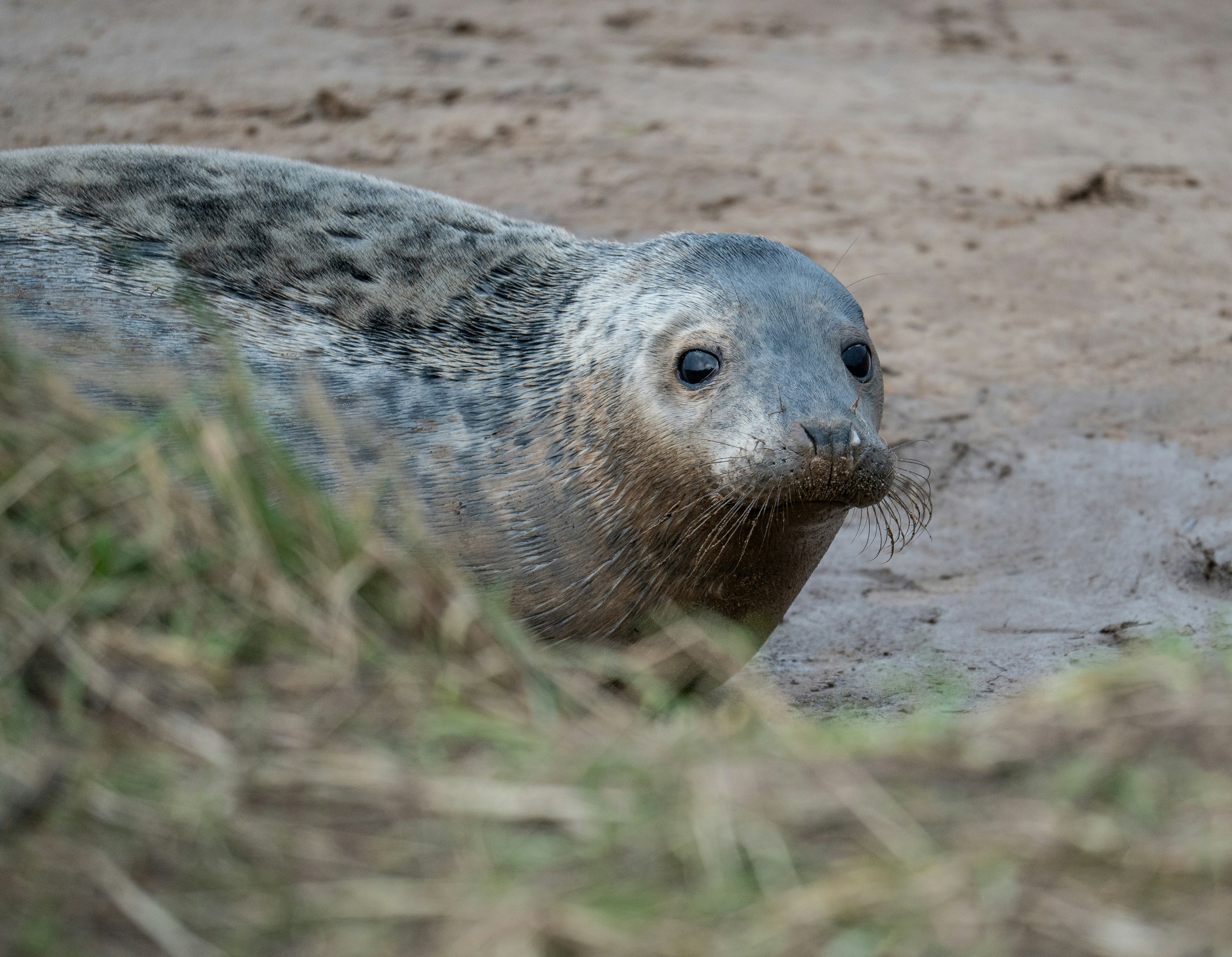 Photo by julia_fiander