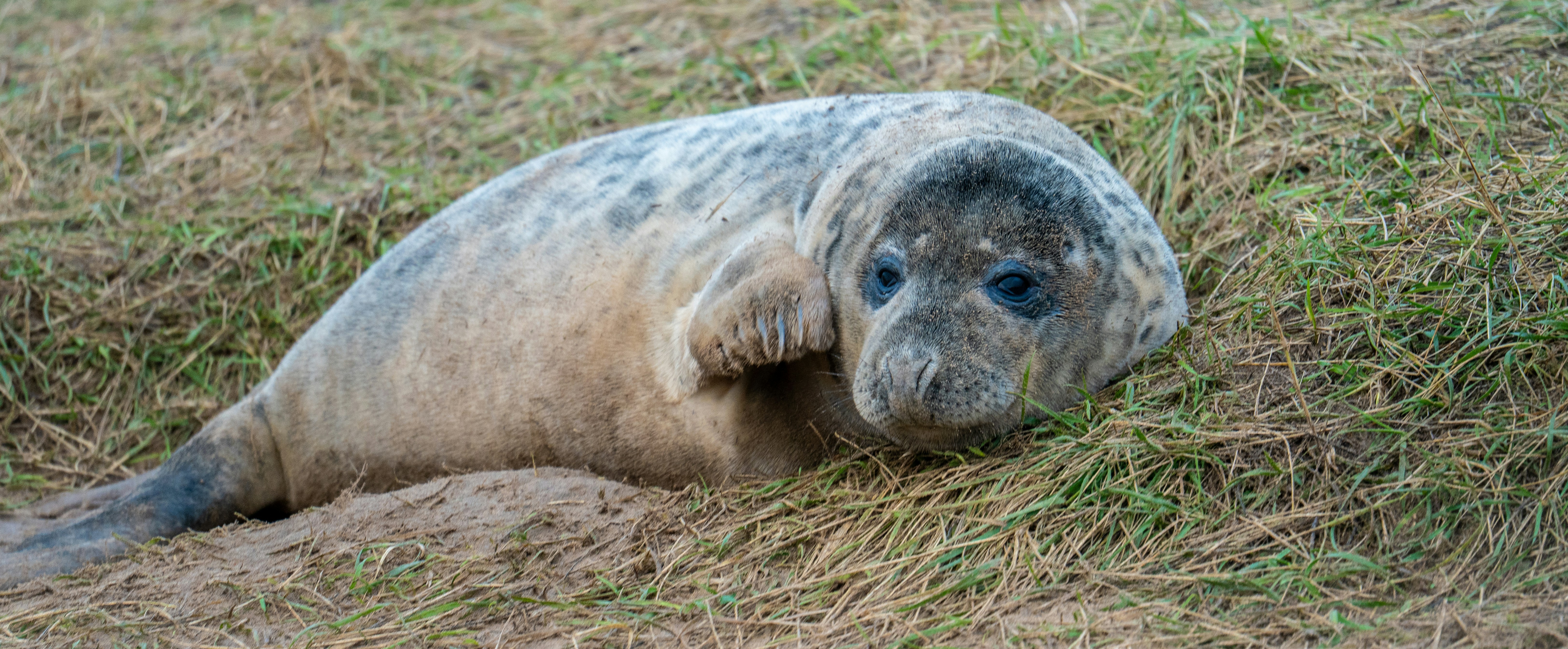 Photo by julia_fiander