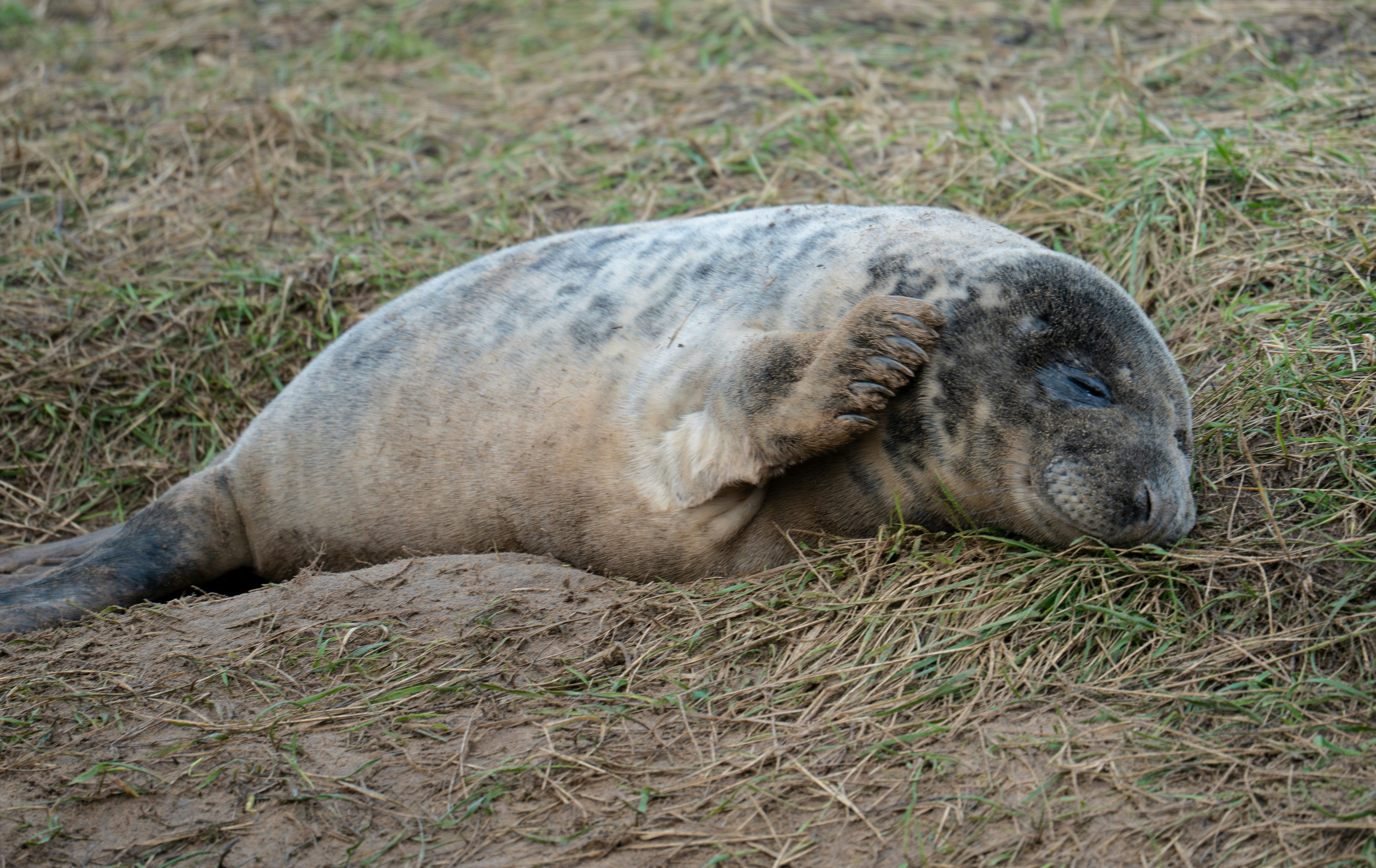 Photo by julia_fiander