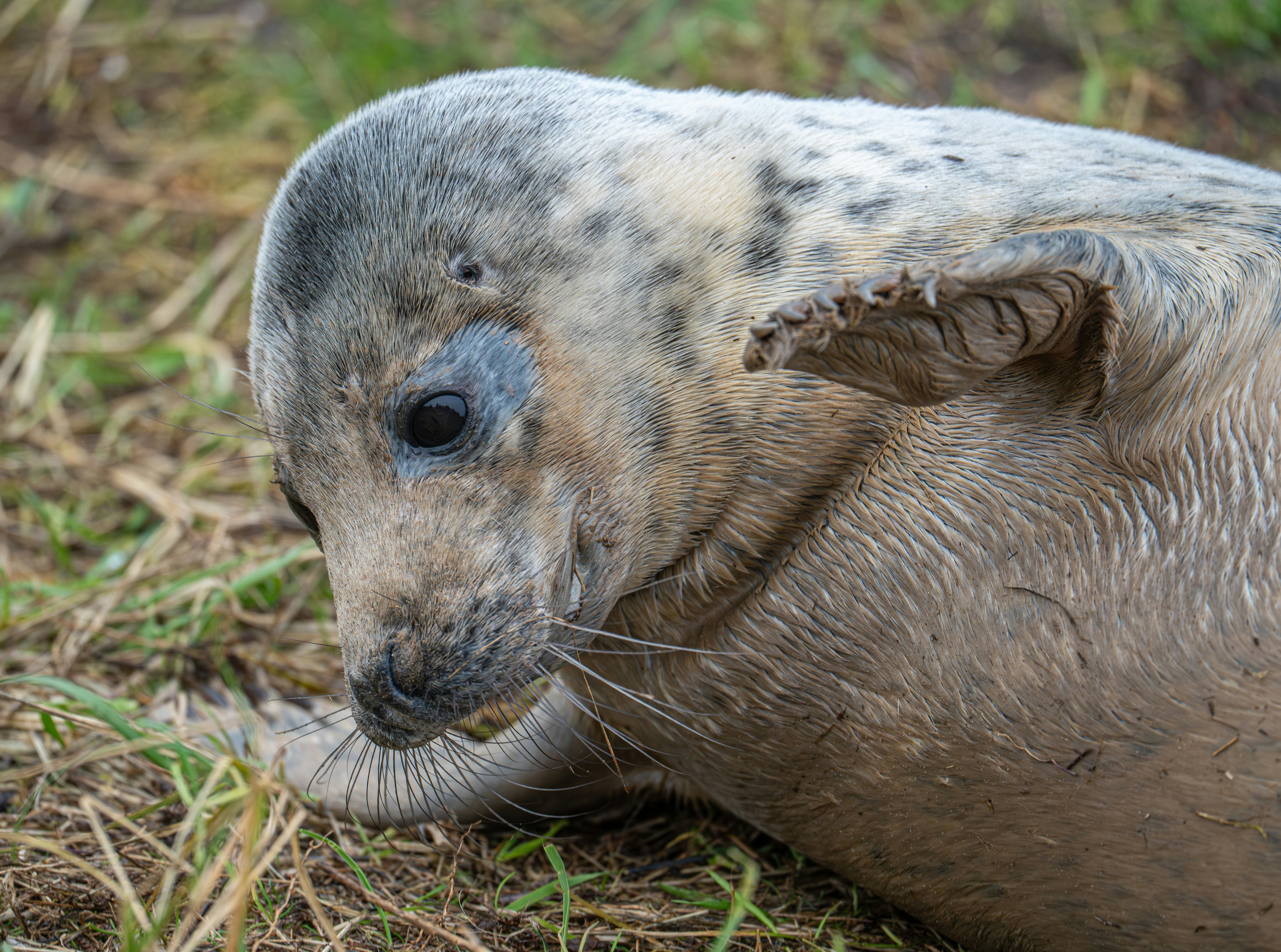 Photo by julia_fiander