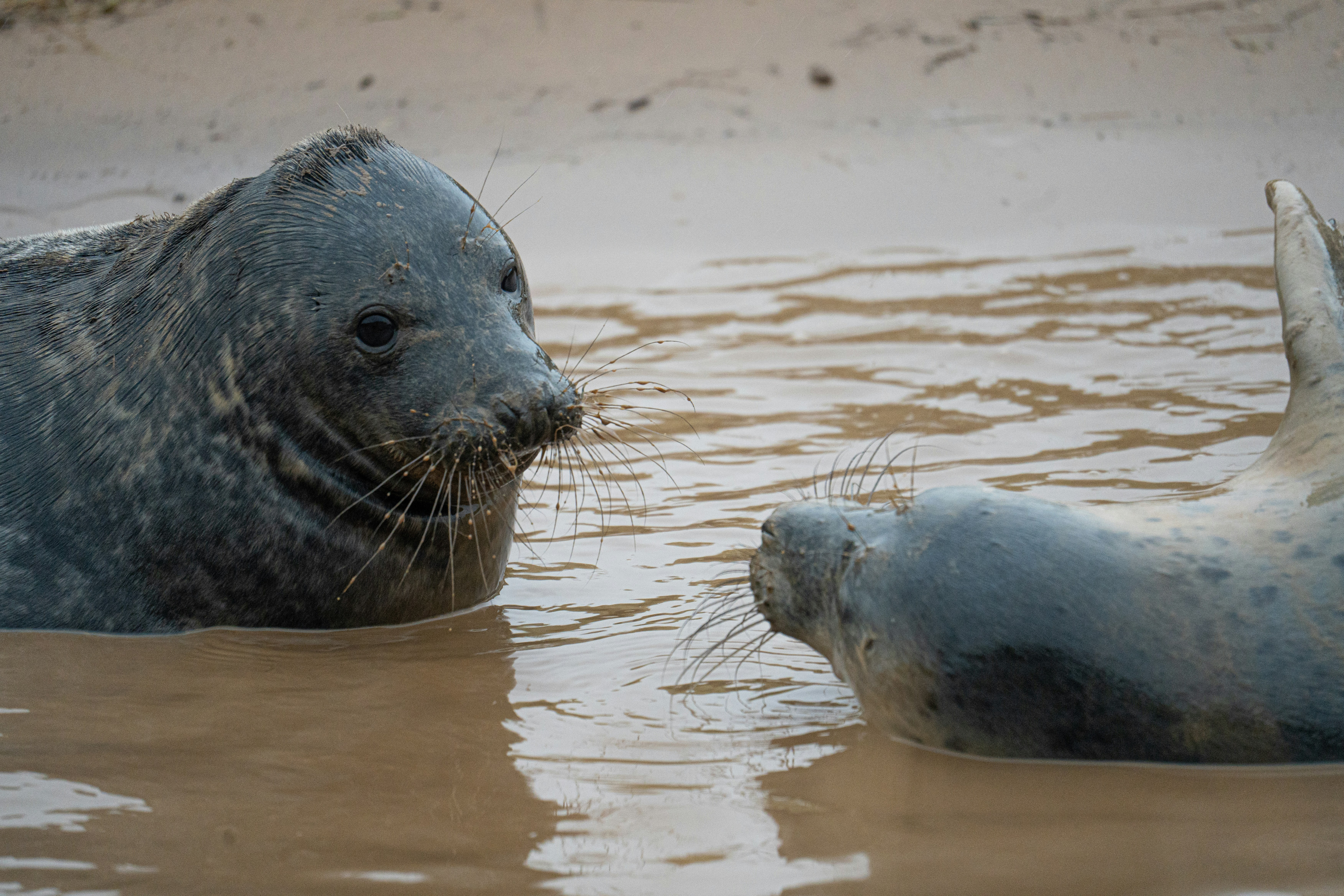 Photo by julia_fiander